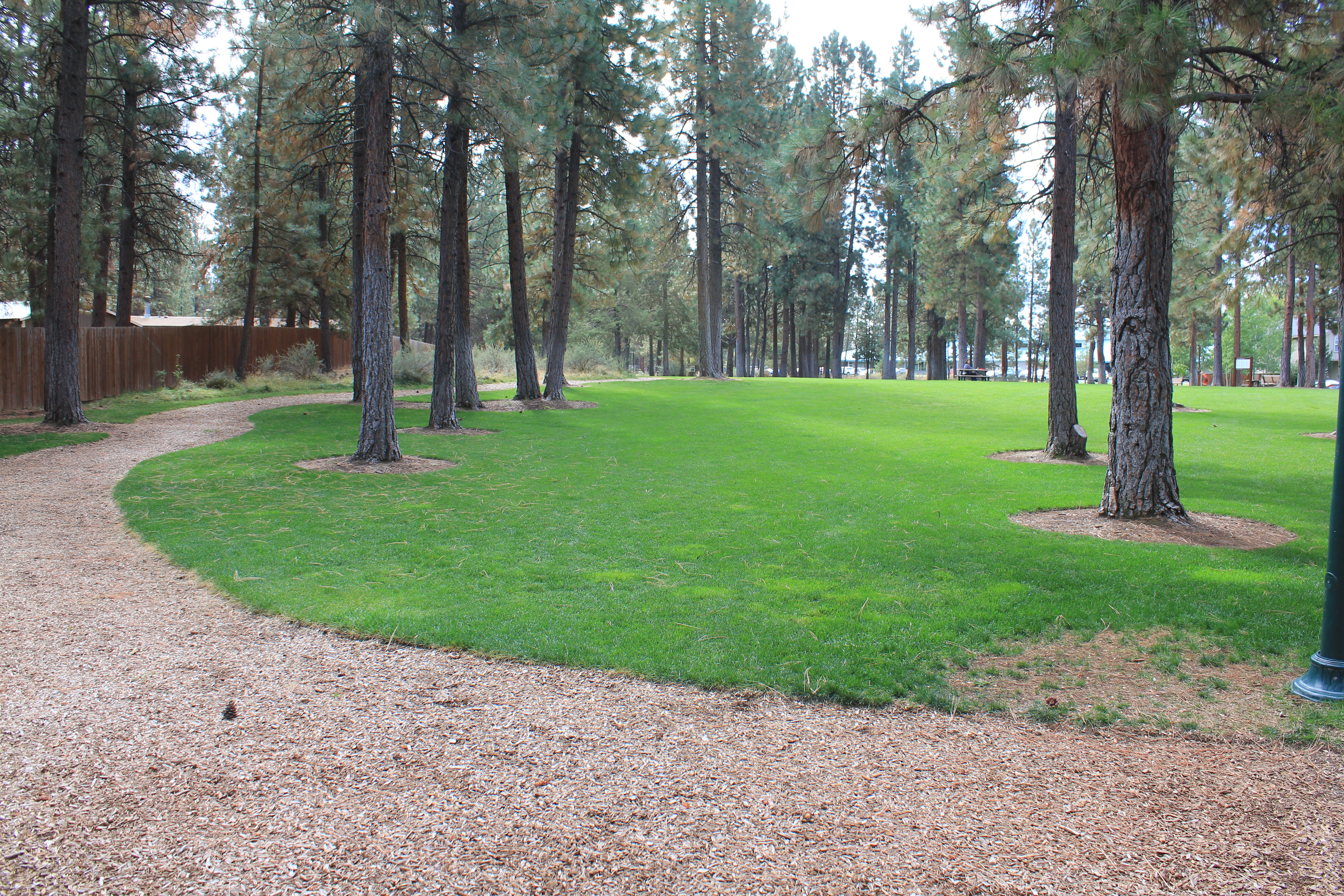 a path at Hollygrape Park