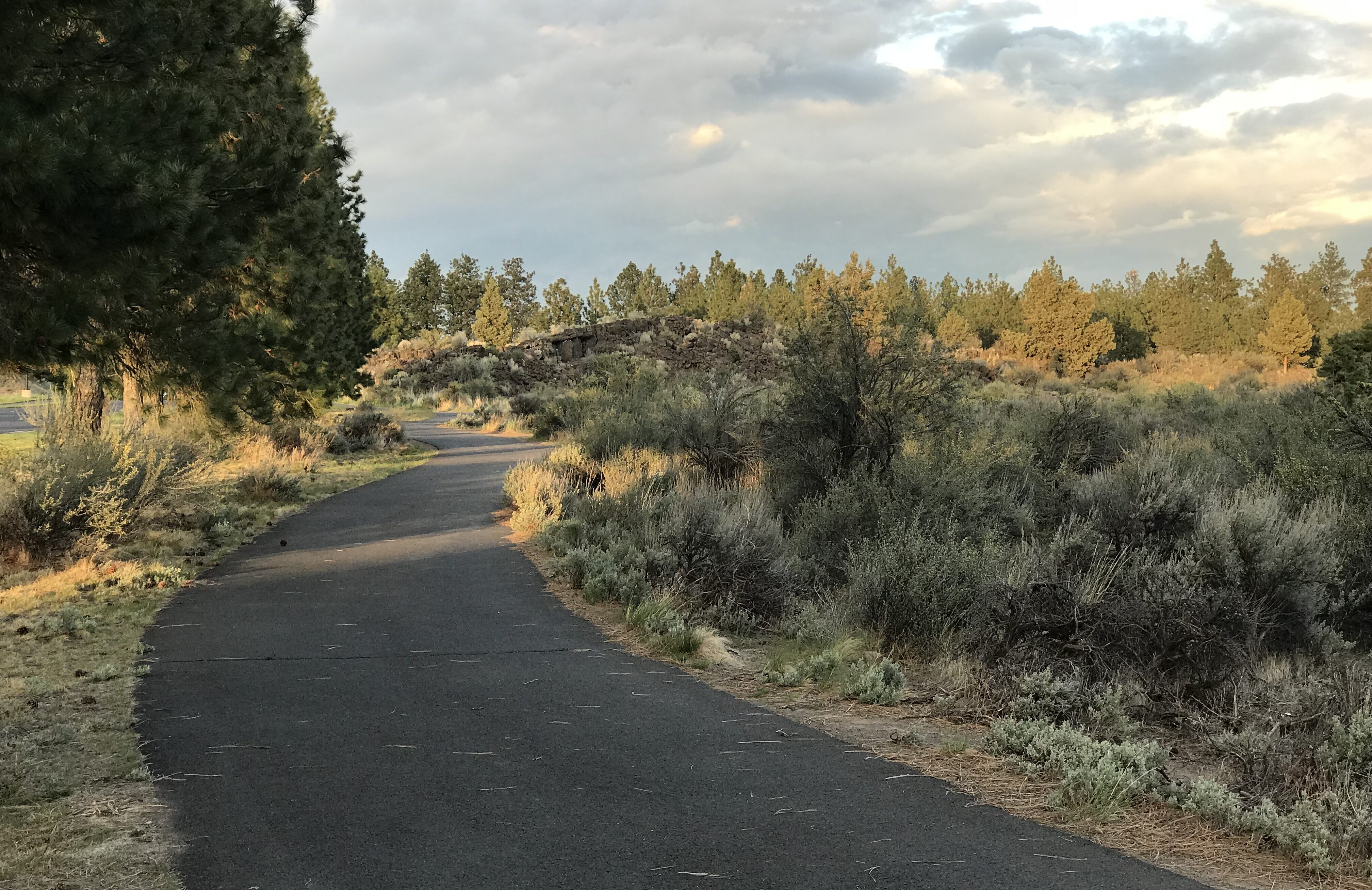 a paved trail at pine nursery park