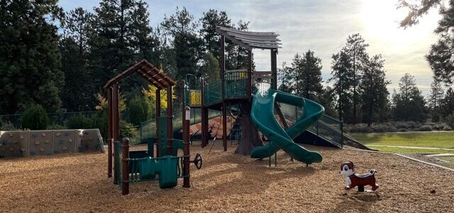 play structure at ponderosa park