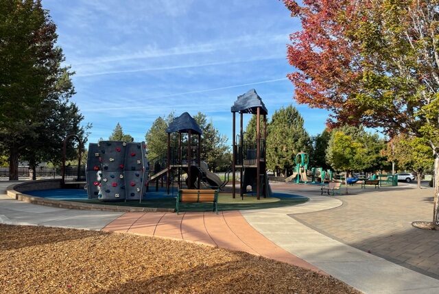 the playground at larkspur park