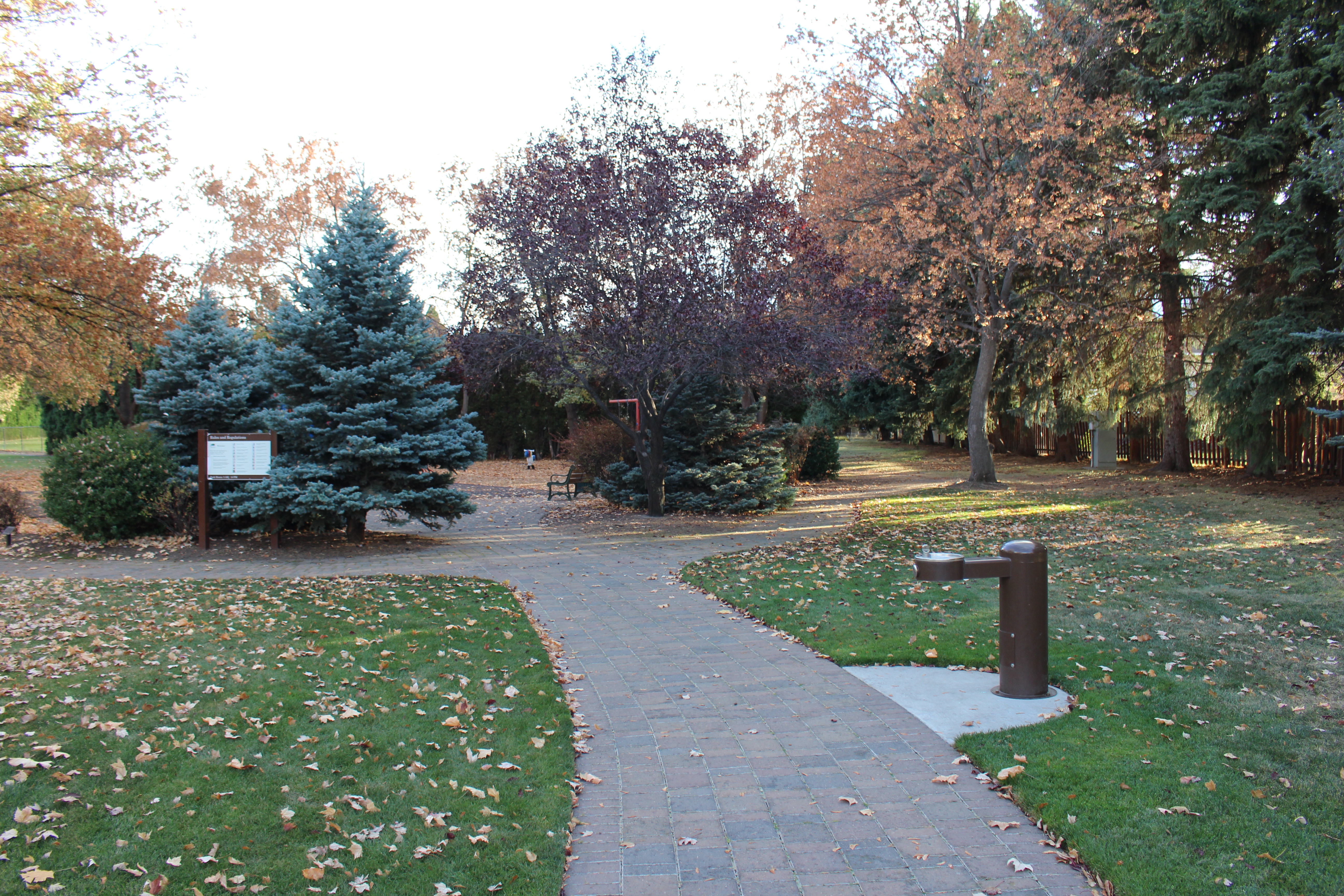 Photograph of Stover Park trails