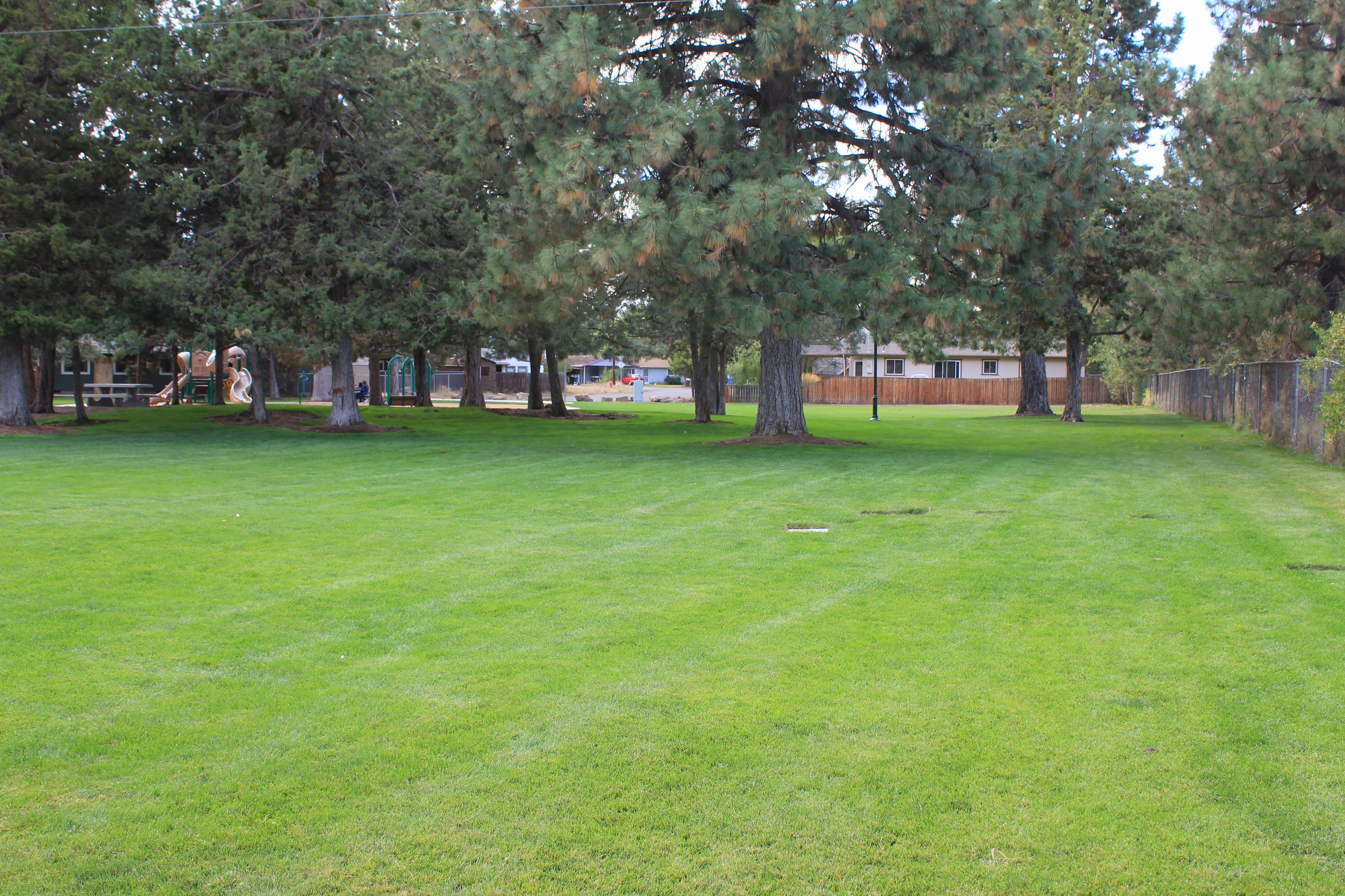 open lawn at jaycee park