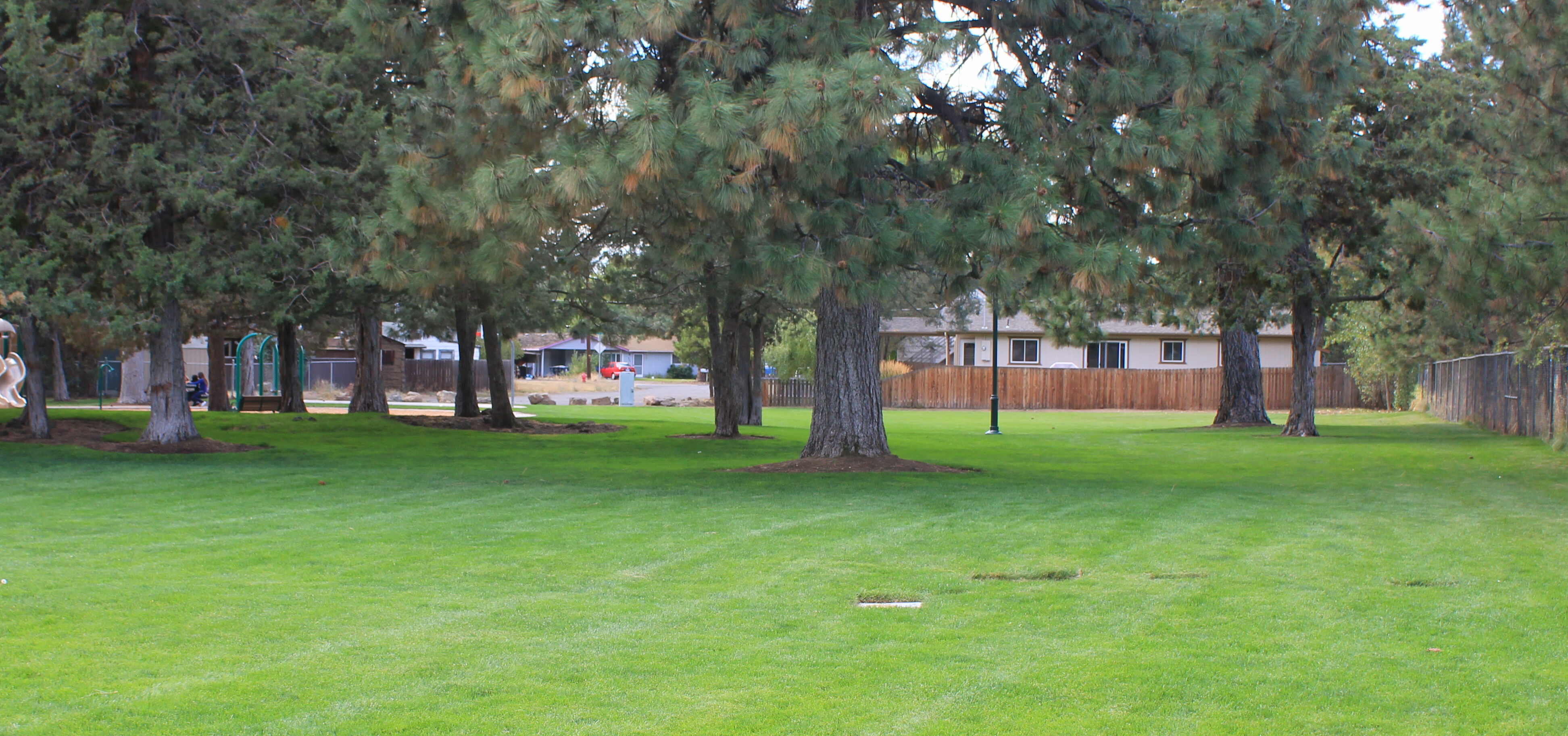 Jaycee Park lawn area