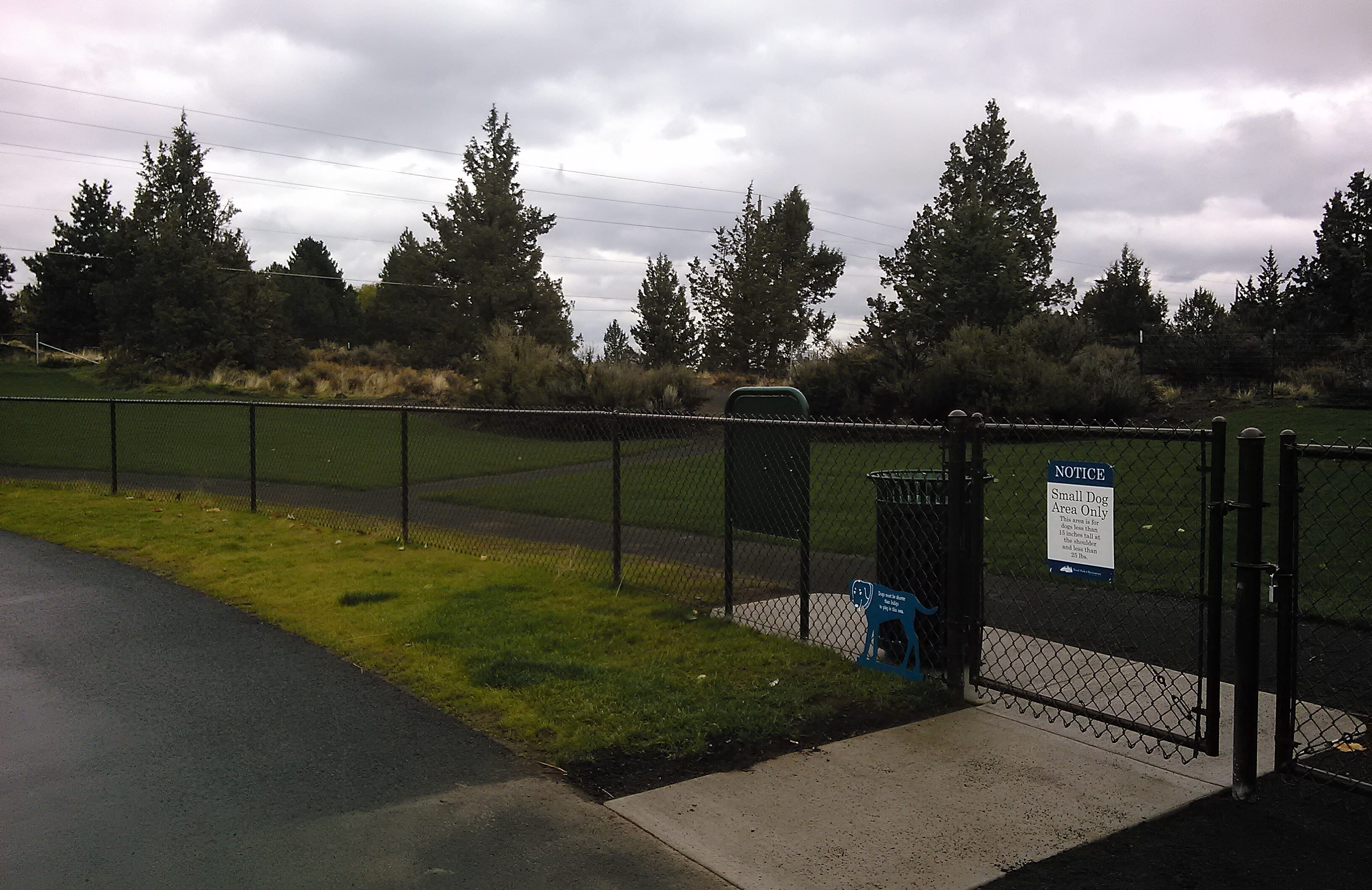 the small dog park at pine nursery