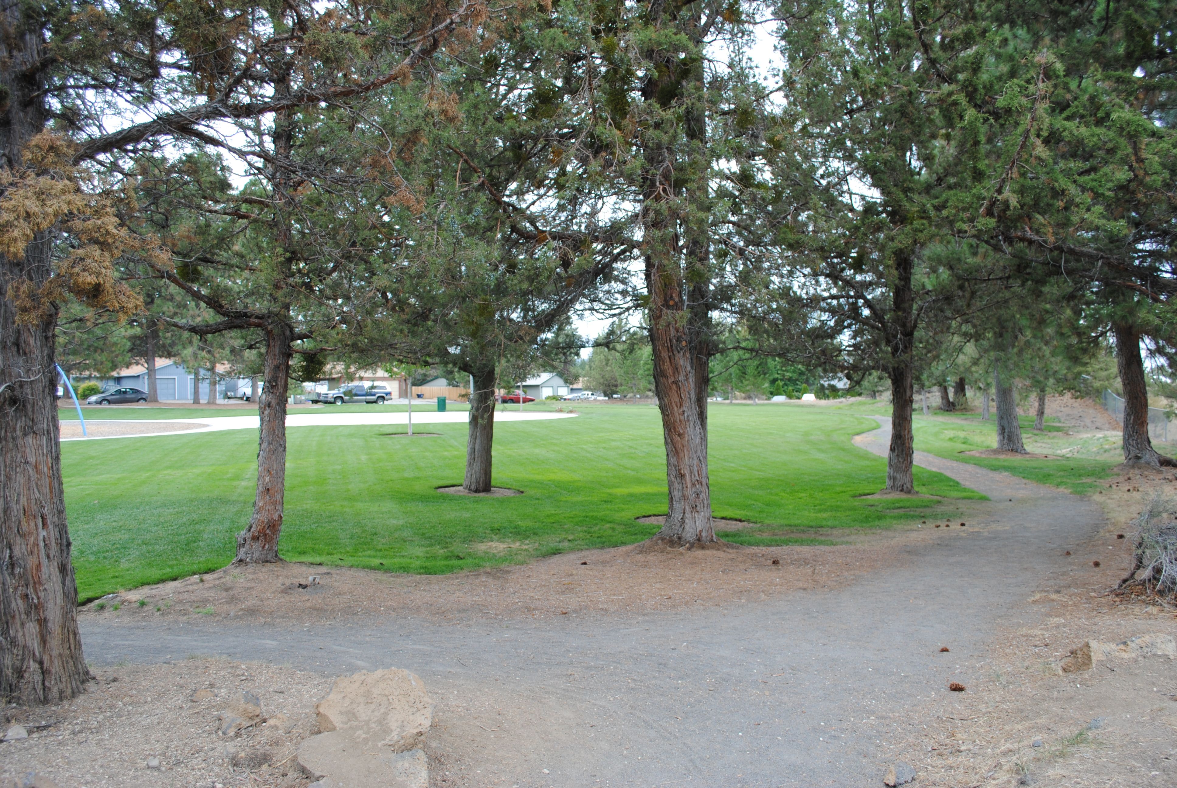 soft surface trails at kiwanis park