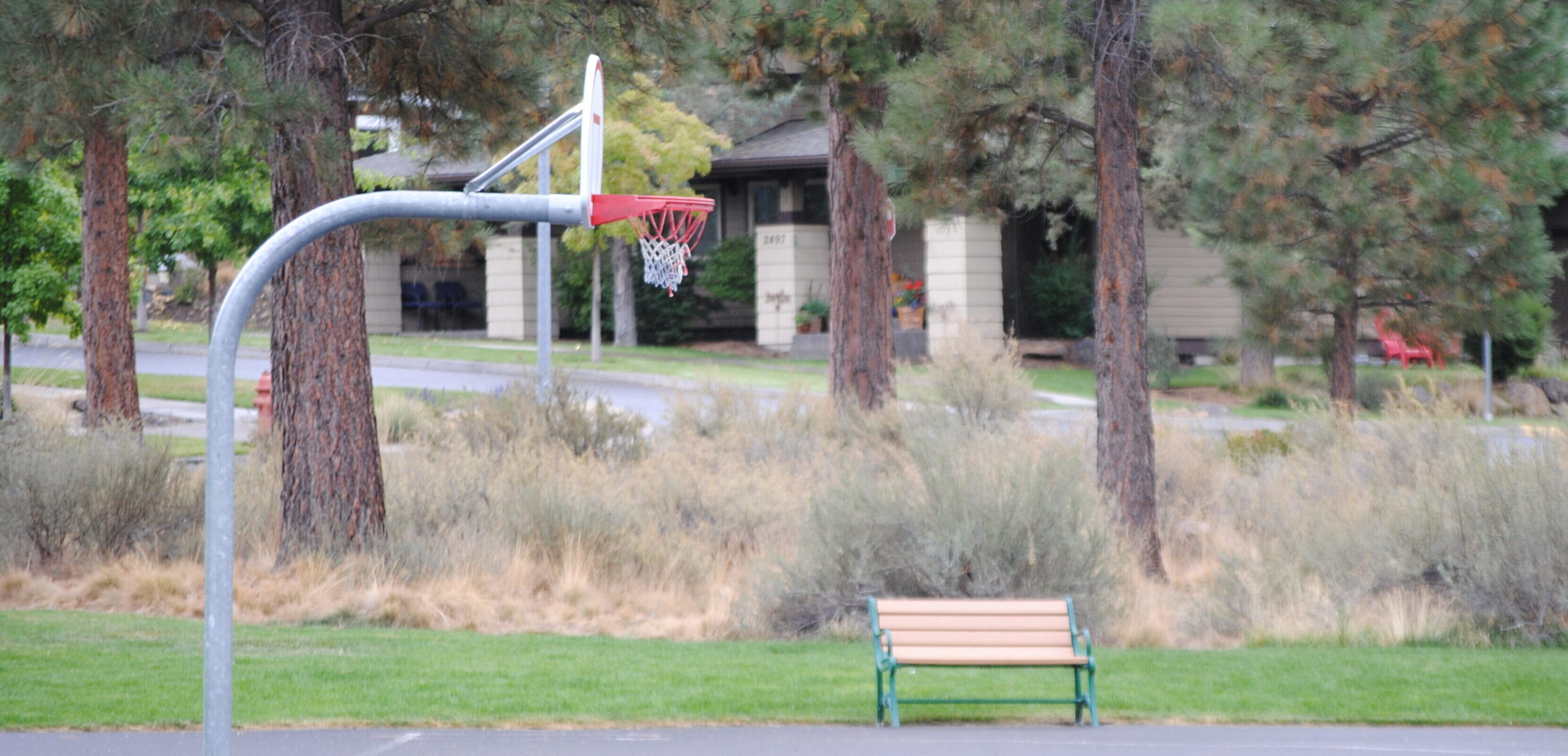 Lewis and Clark Park basketball