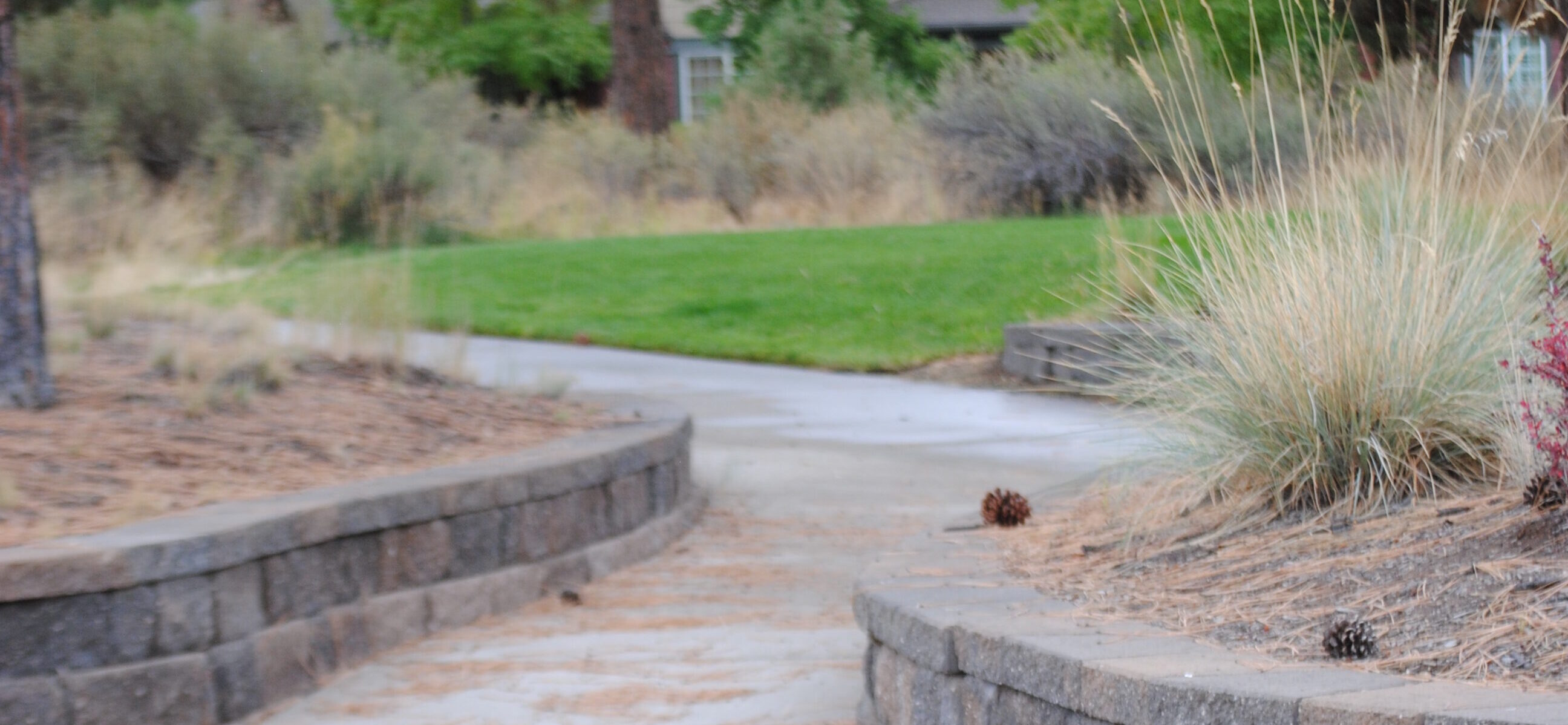 Lewis and Clark Park pathway