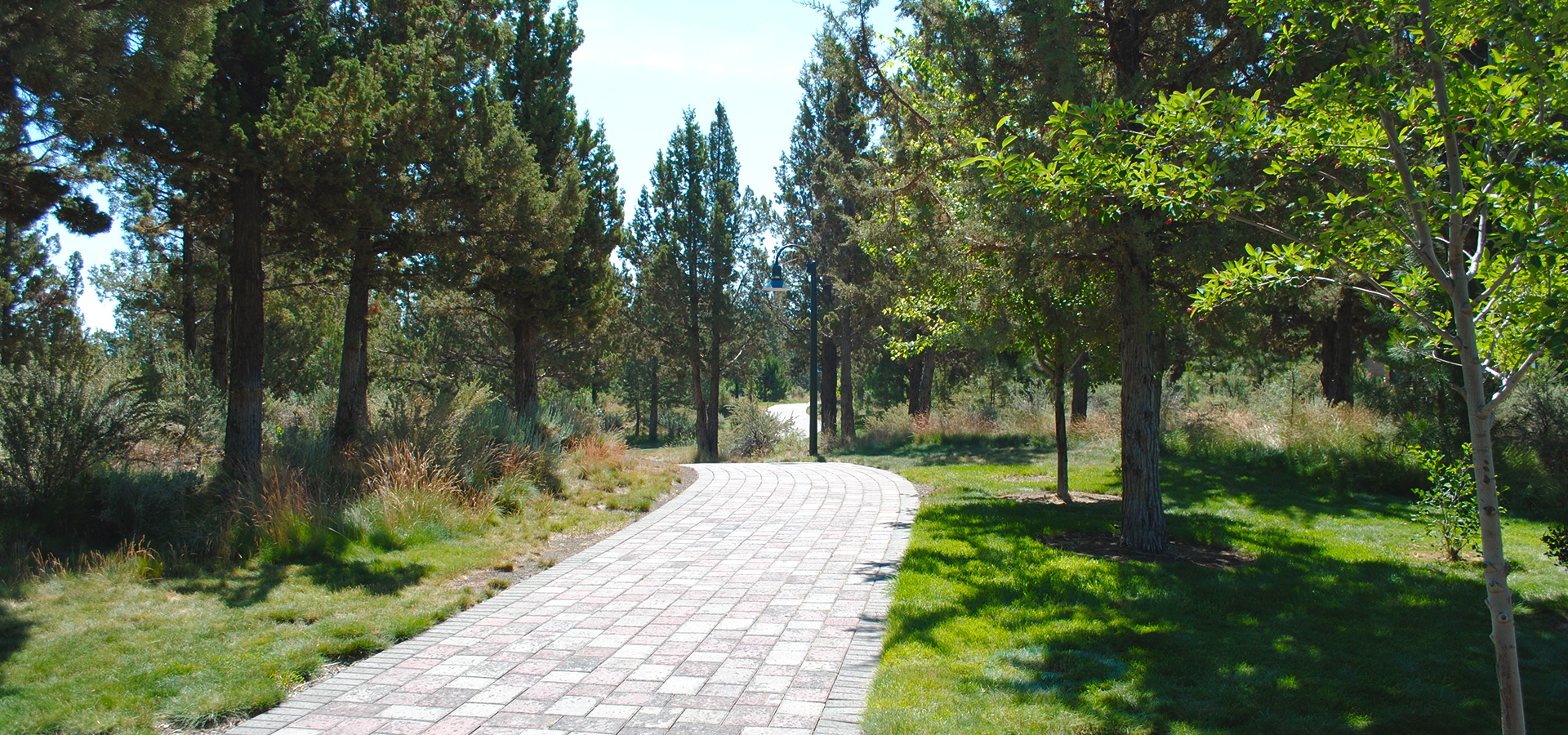 Larkspur-Park-Paved-Path