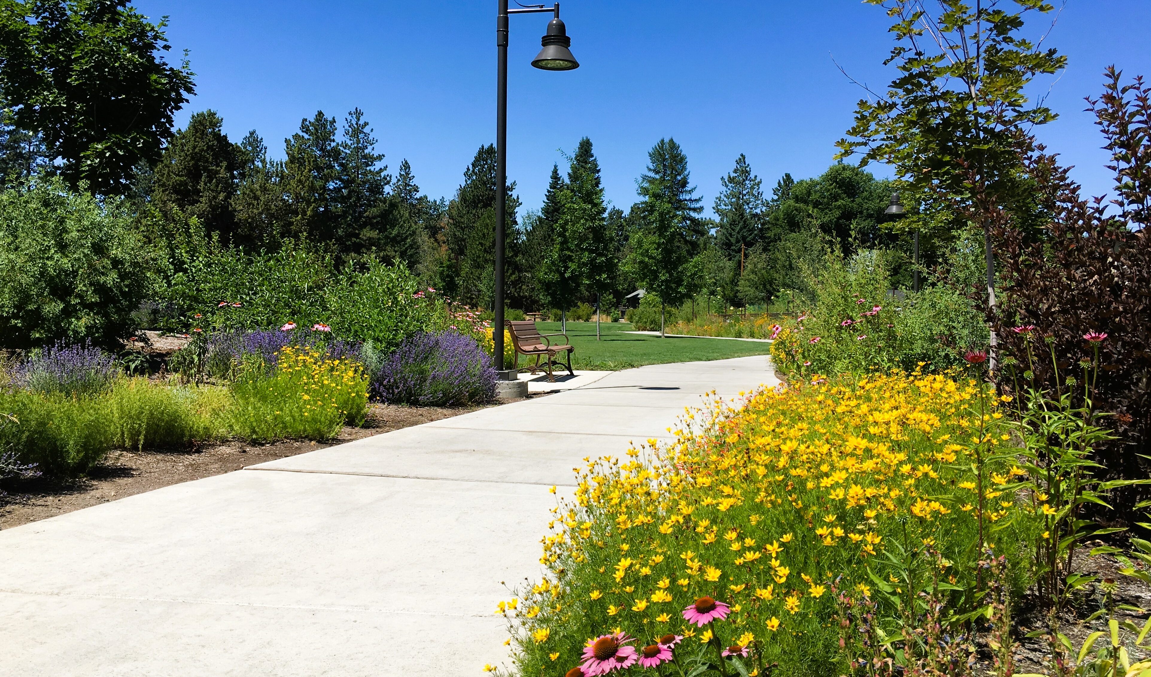 The pathway at millers landing surrounded by flowers
