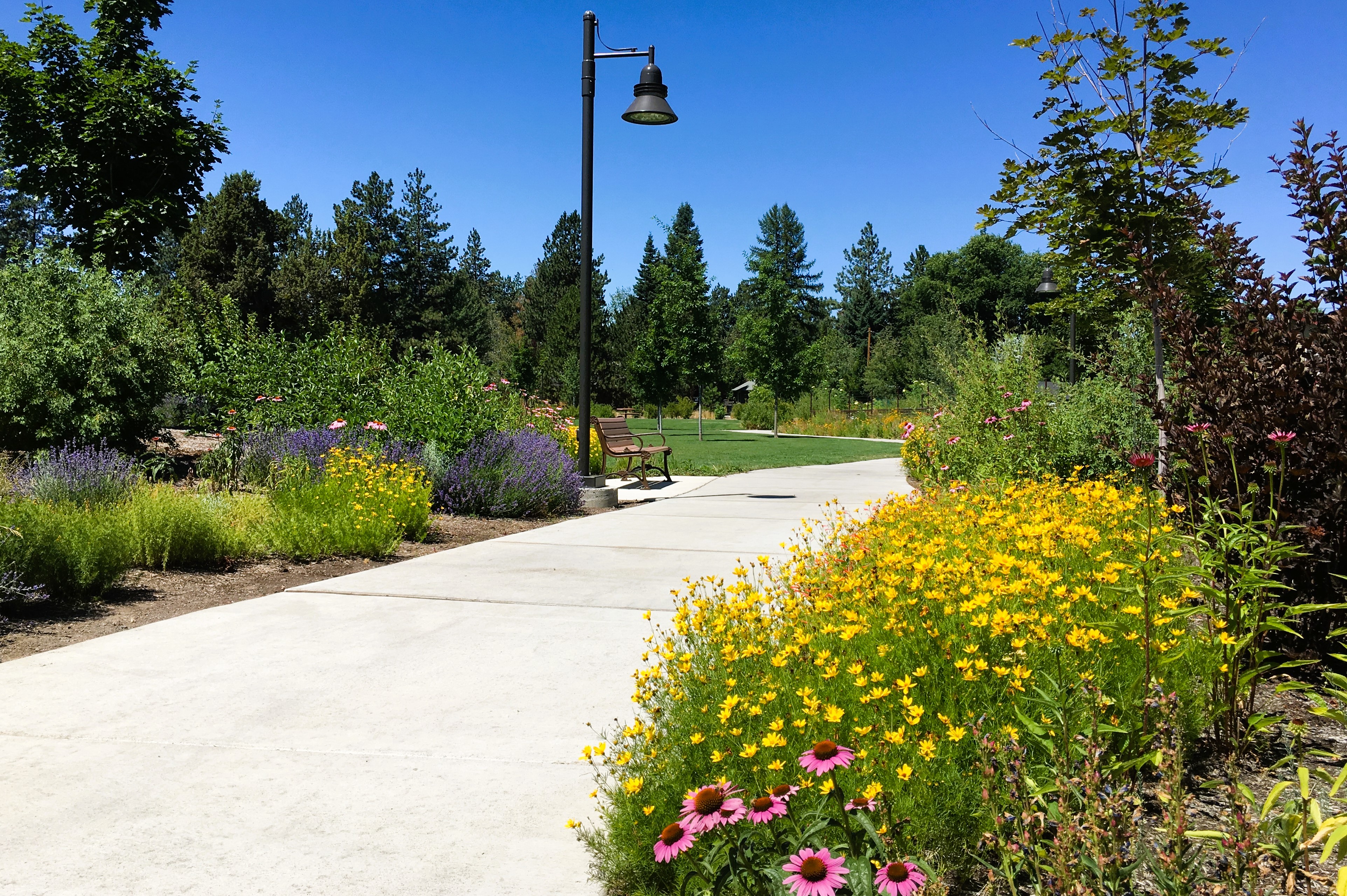 The pathway at millers landing surrounded by flowers