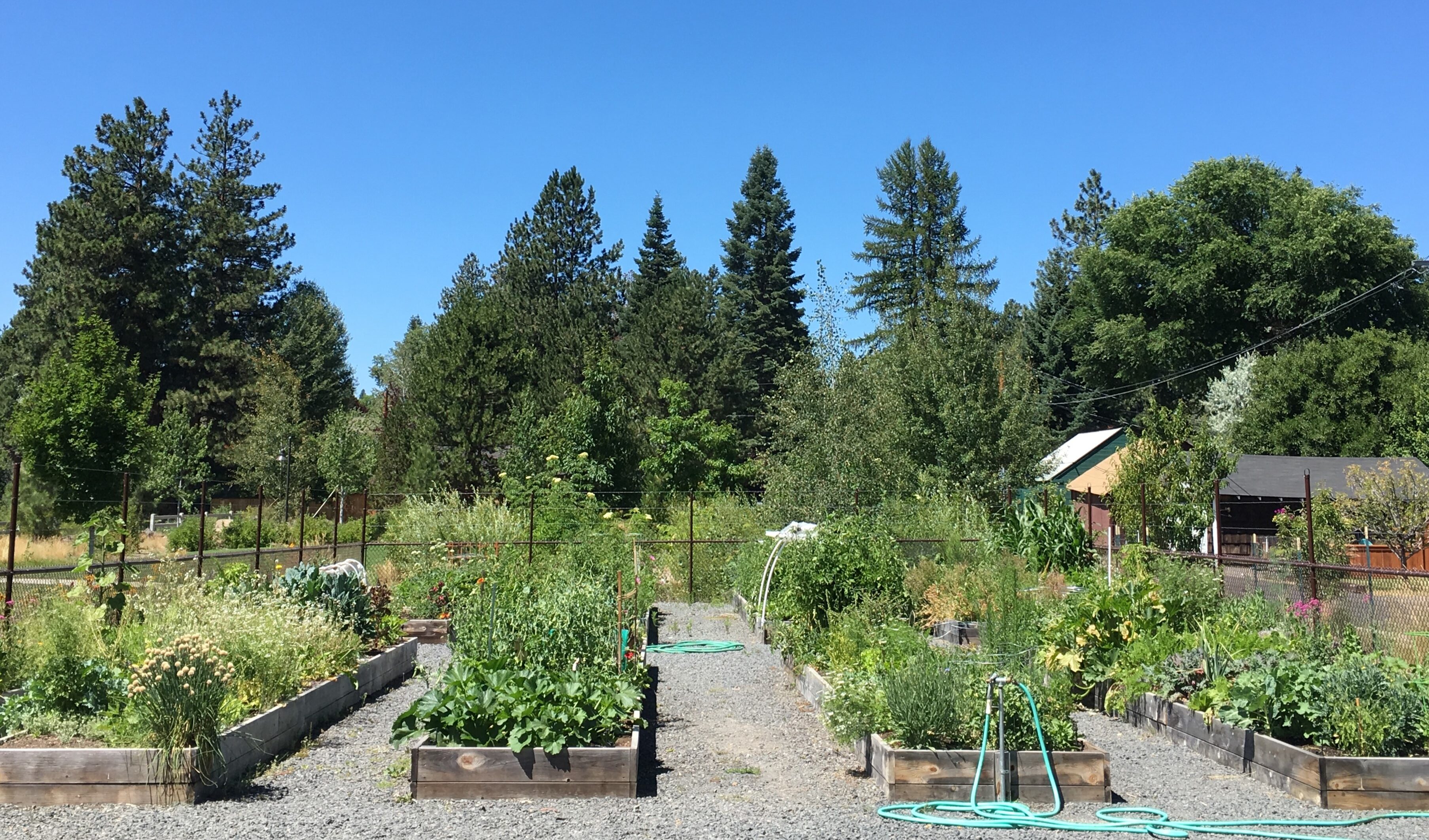 the community garden at millers landing