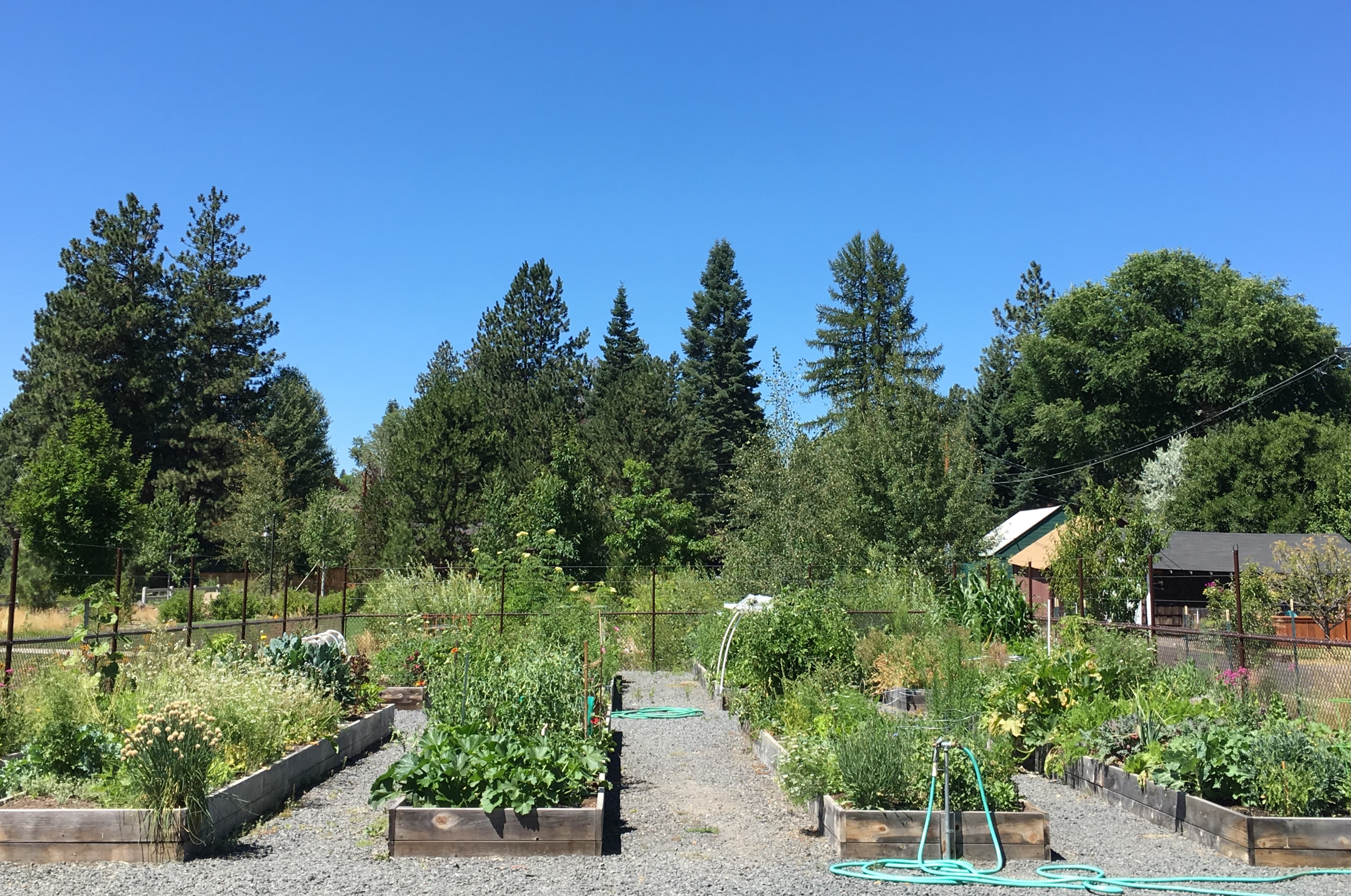the community garden at millers landing