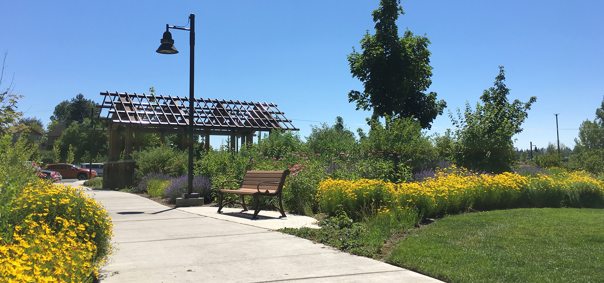 Wildflowers and a park bench at Miller's Landing Park.