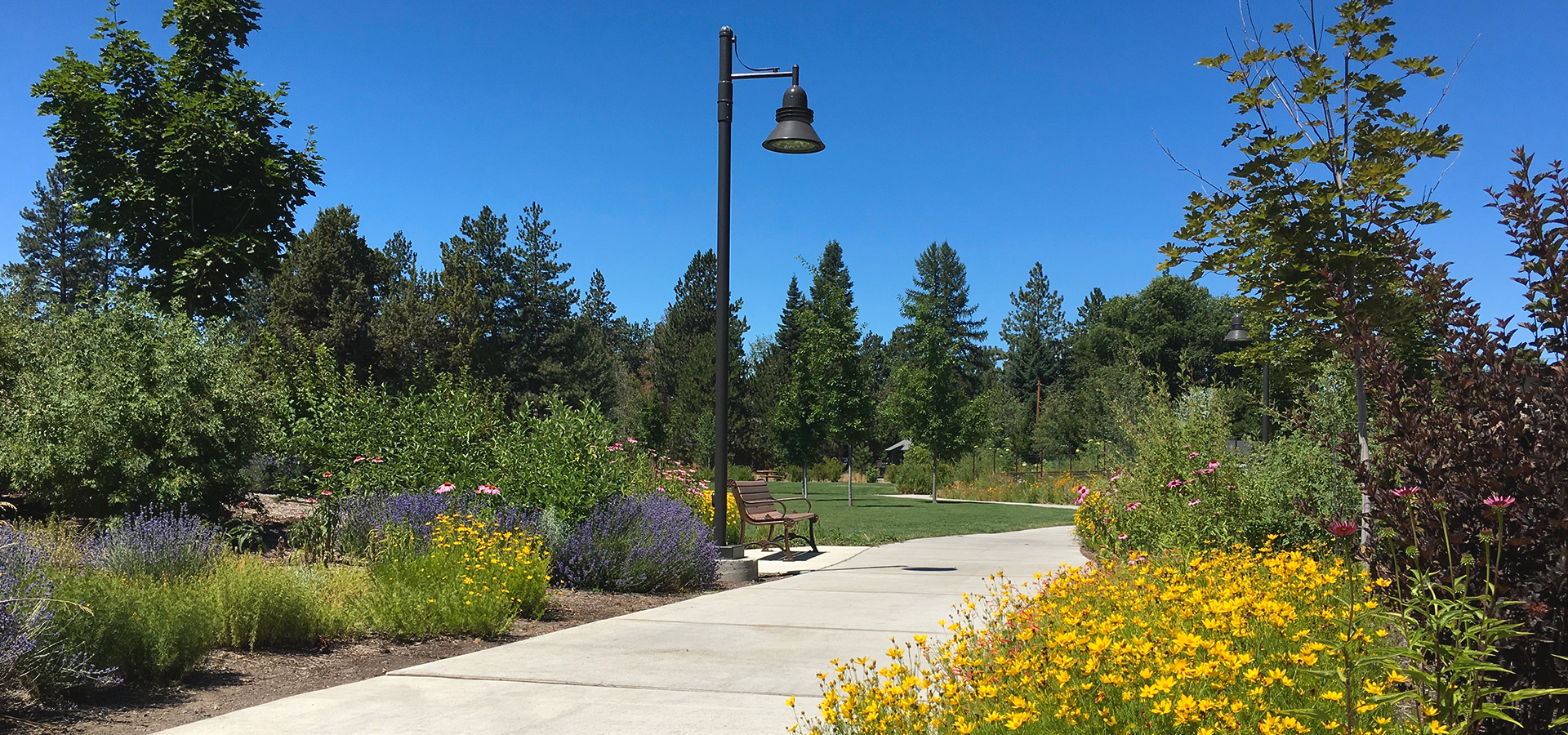 Wildflowers and a paved path at Miller's Landing Park.