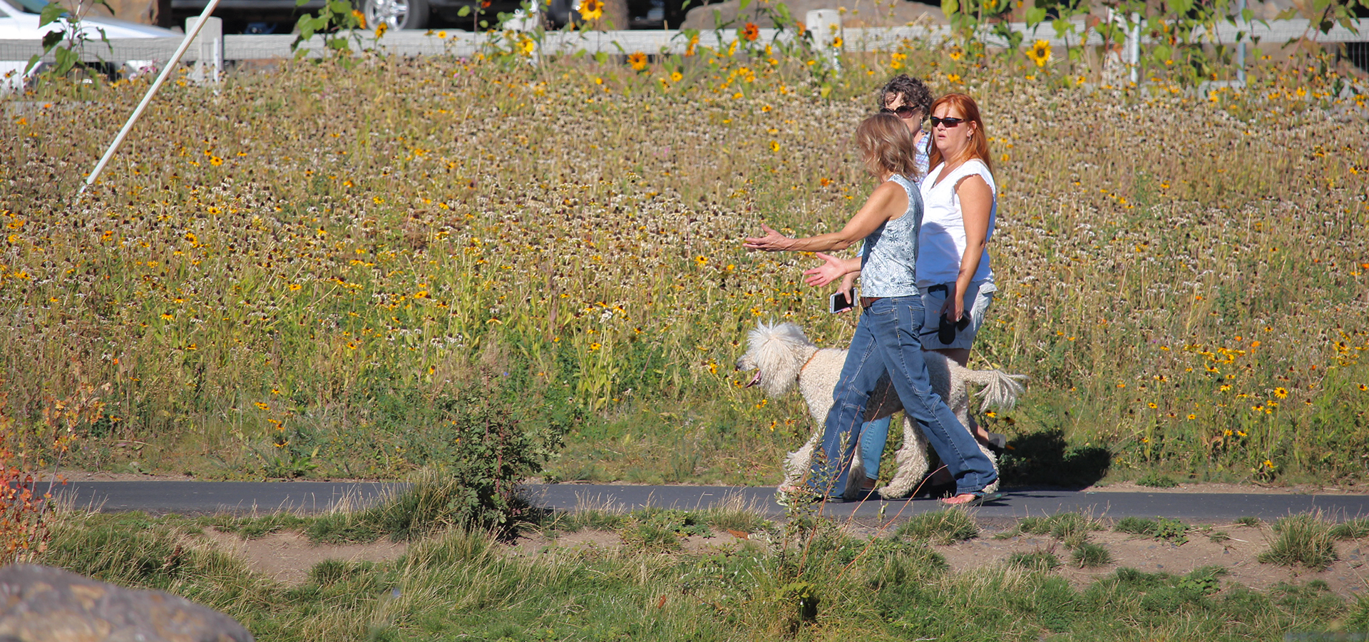 Three women and a dog walking on a path near wildflowers in Miller's Landing Park.