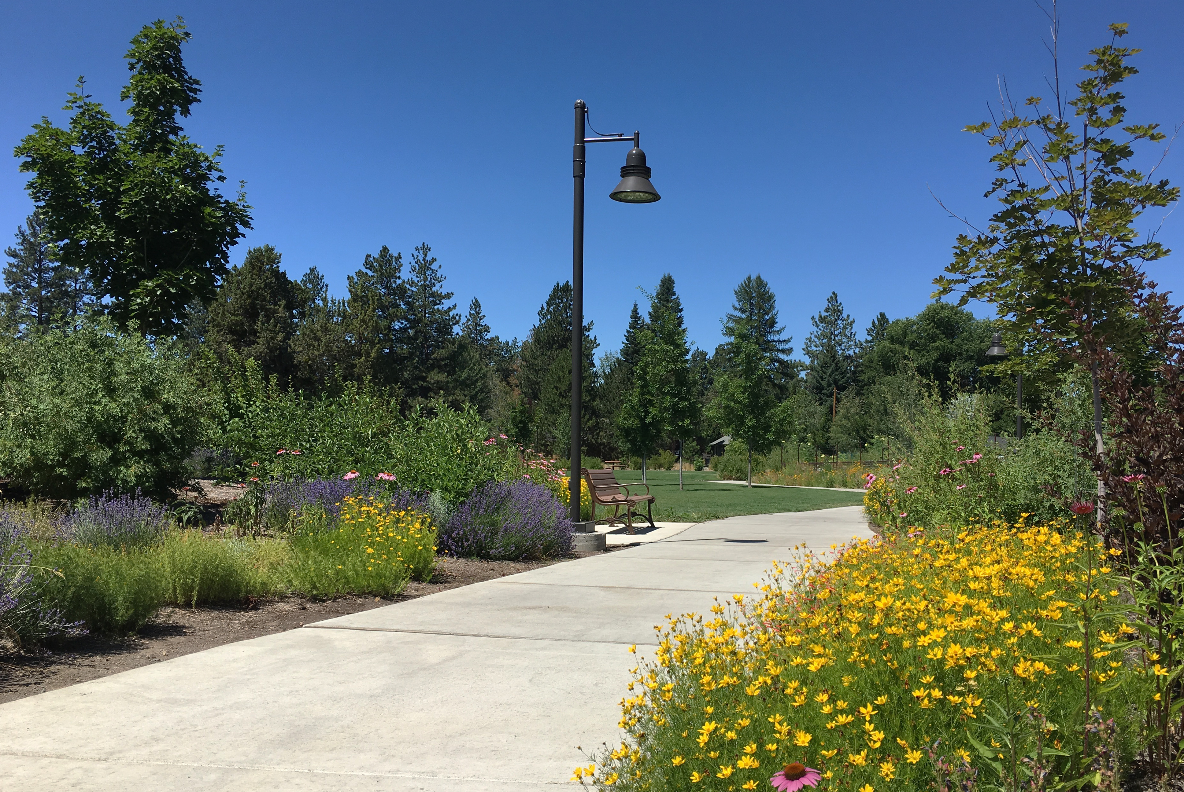 Millers Landing Park in Bend Oregon
