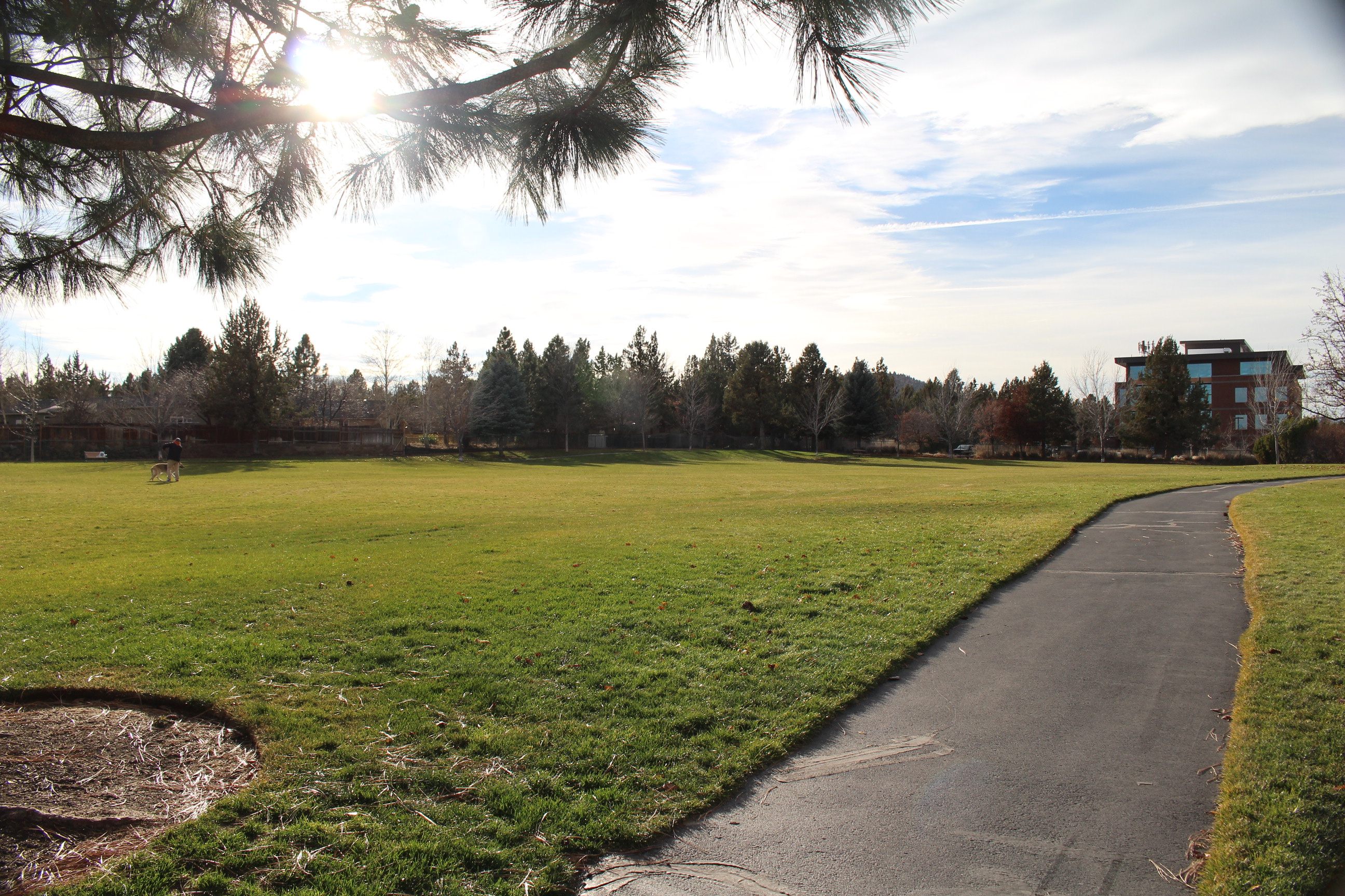 open lawn and a paved pathway at mountain view park
