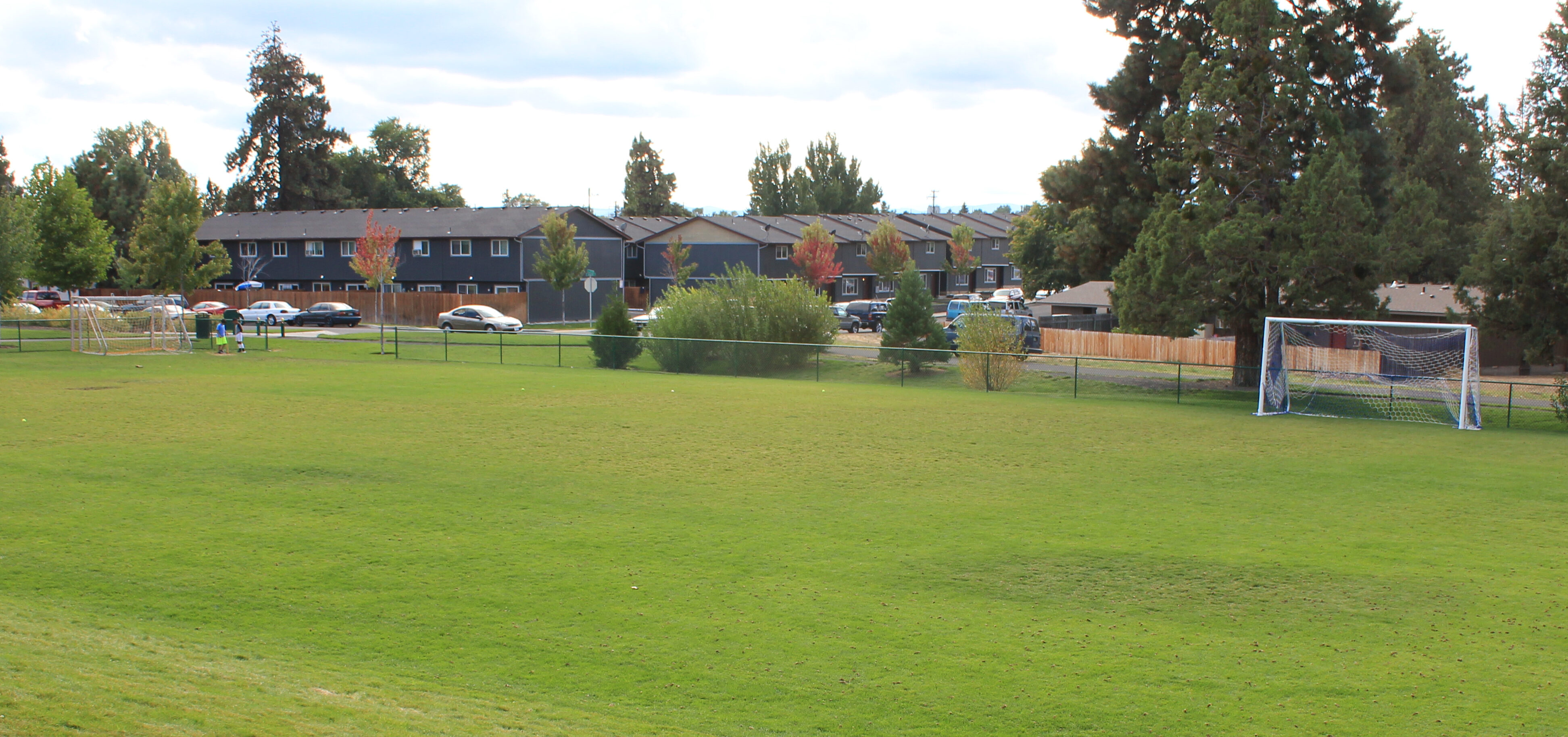 Orchard Park sports lawn