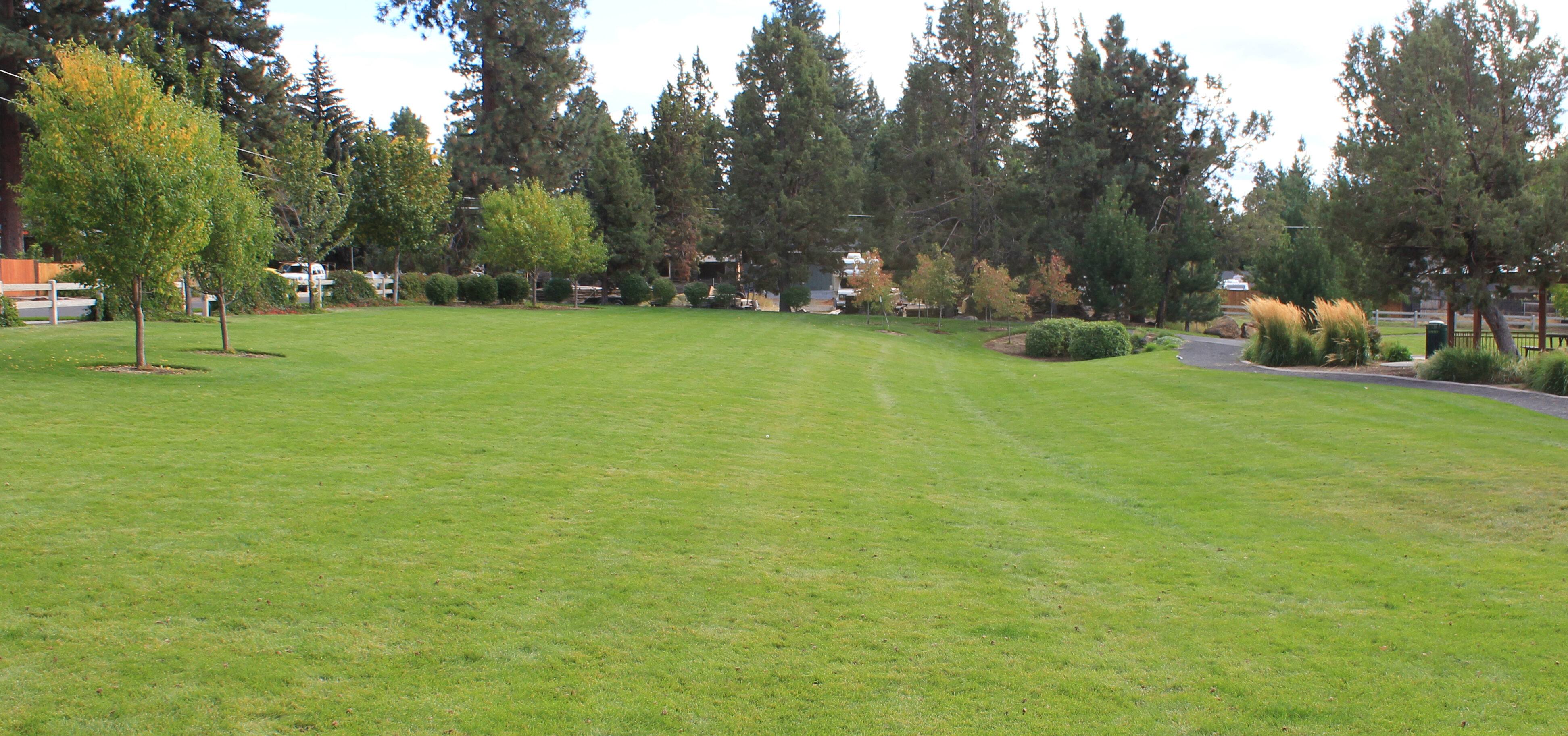 Orchard Park open lawn