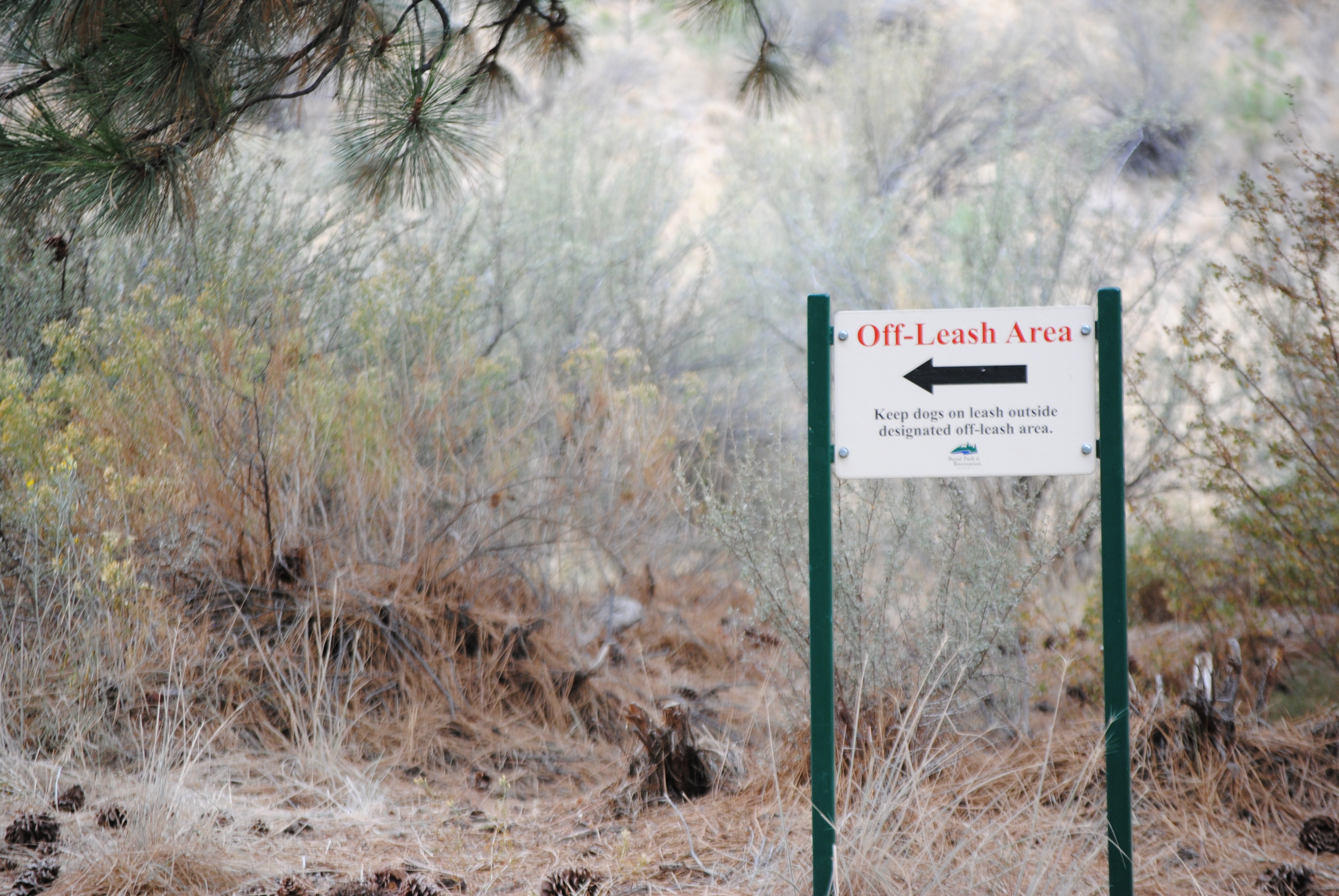 the direction sign for the off leash area at overturf park