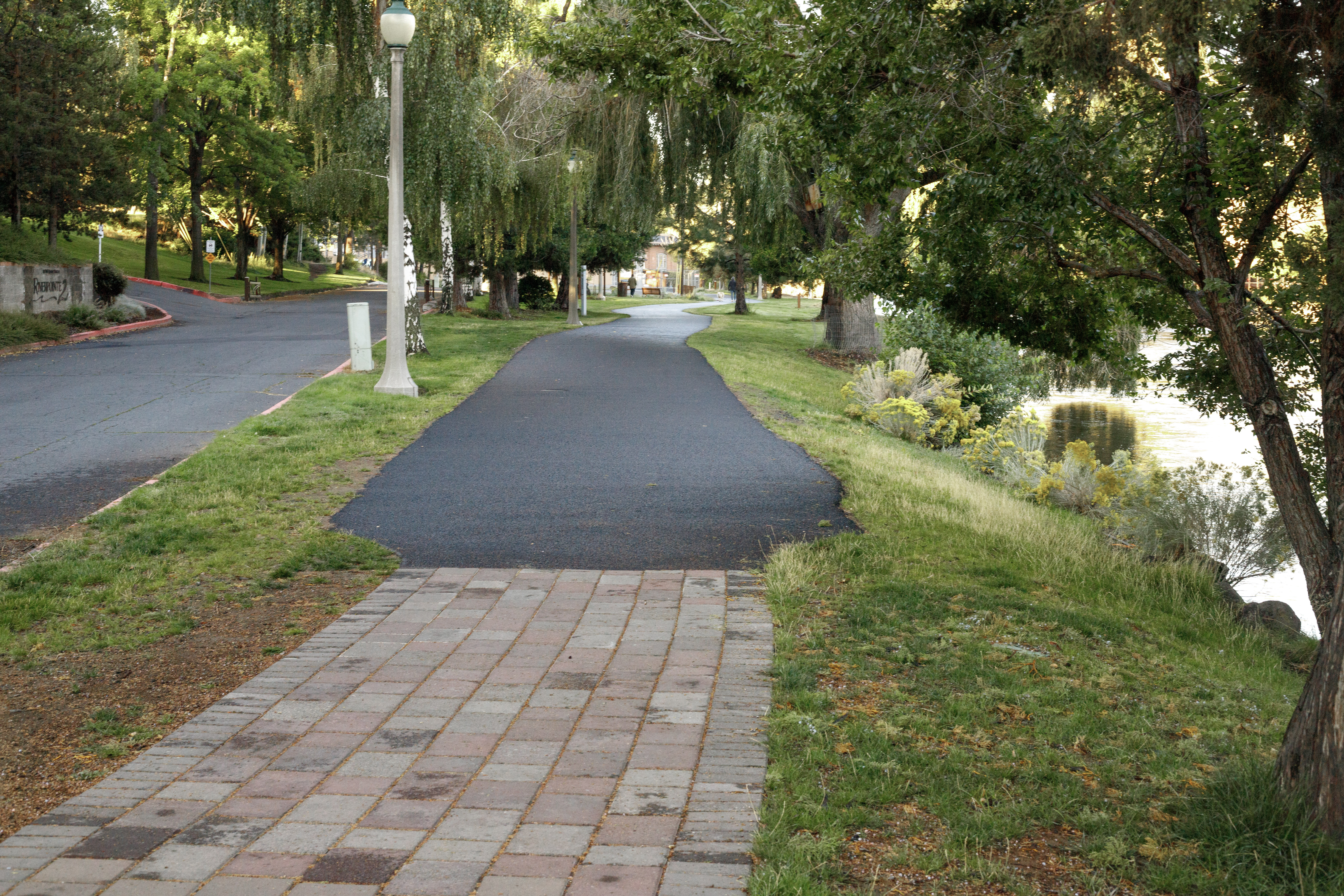 Pathway at the park entrance