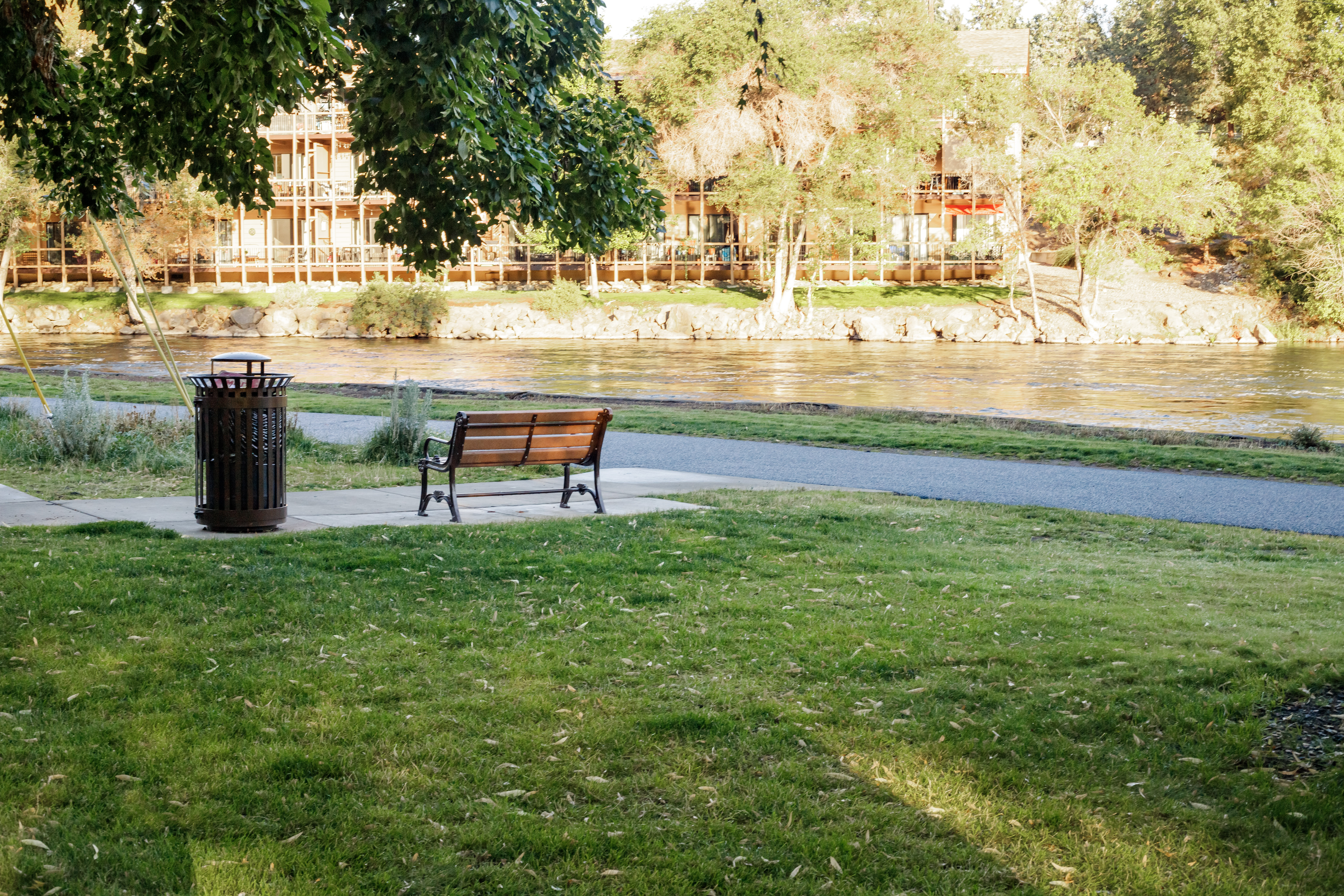 A bench for viewing the river