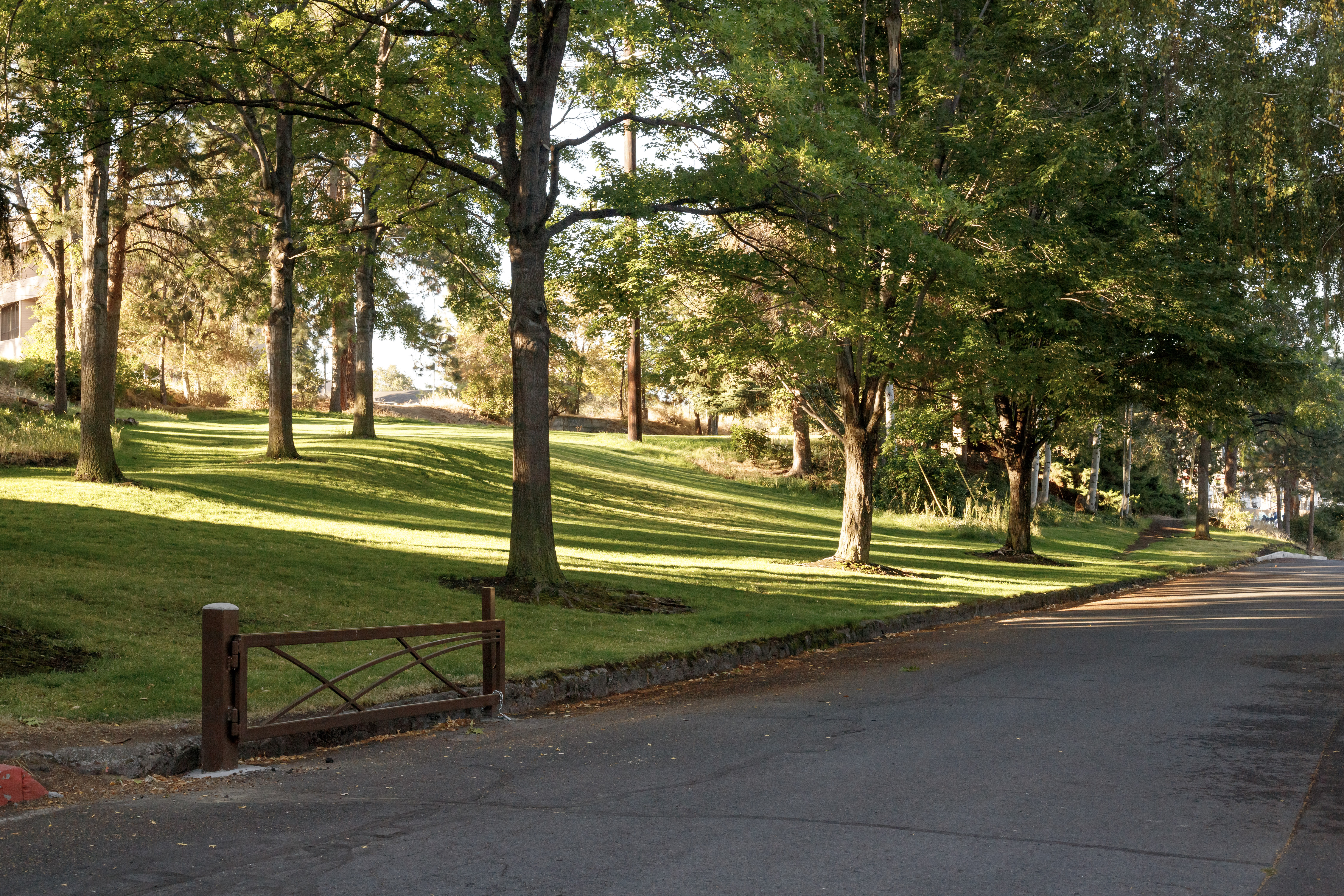 The upper grass meadow at pacific park