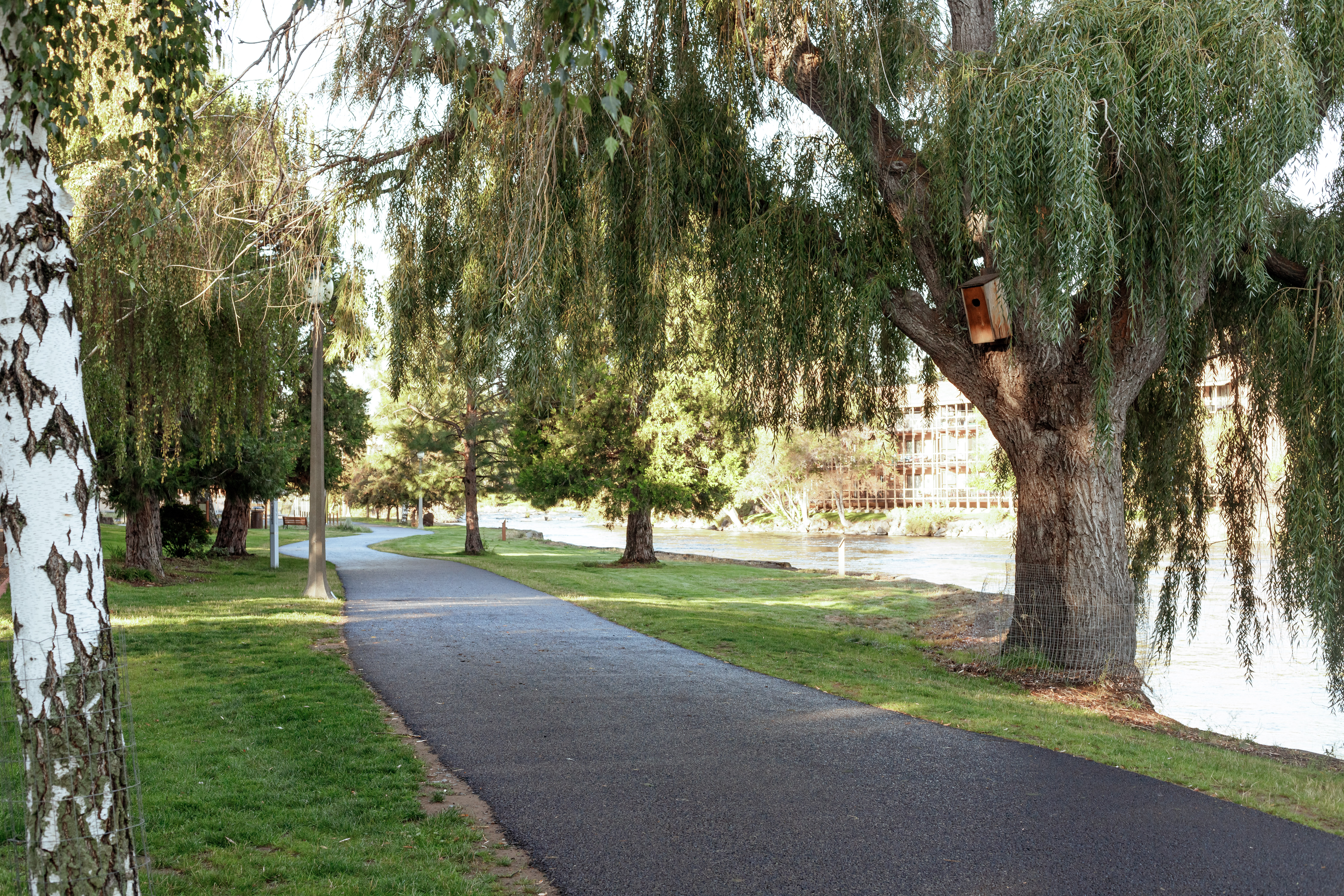 DRT going along the river in pacific park