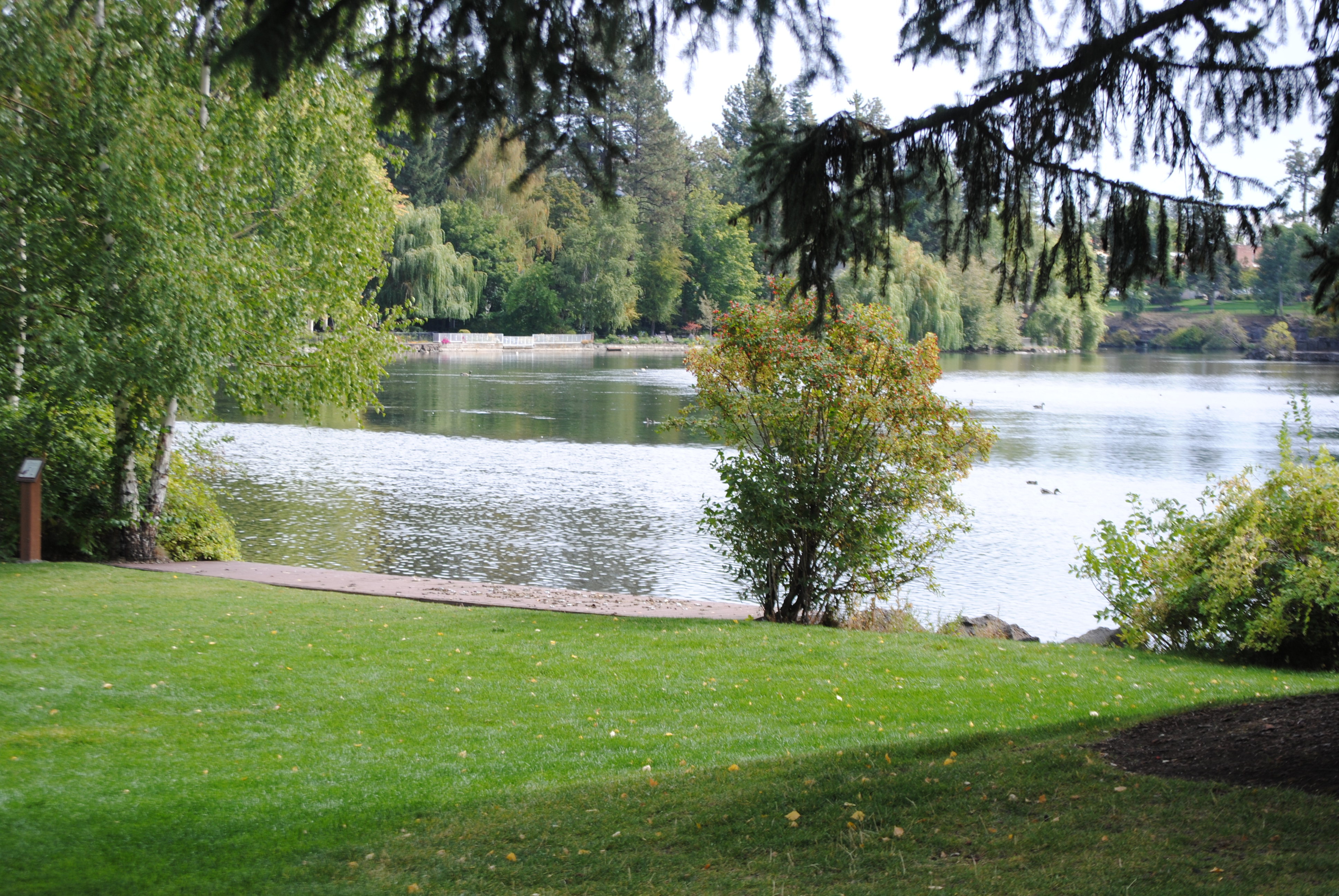 a view of mirror pond at pageant park