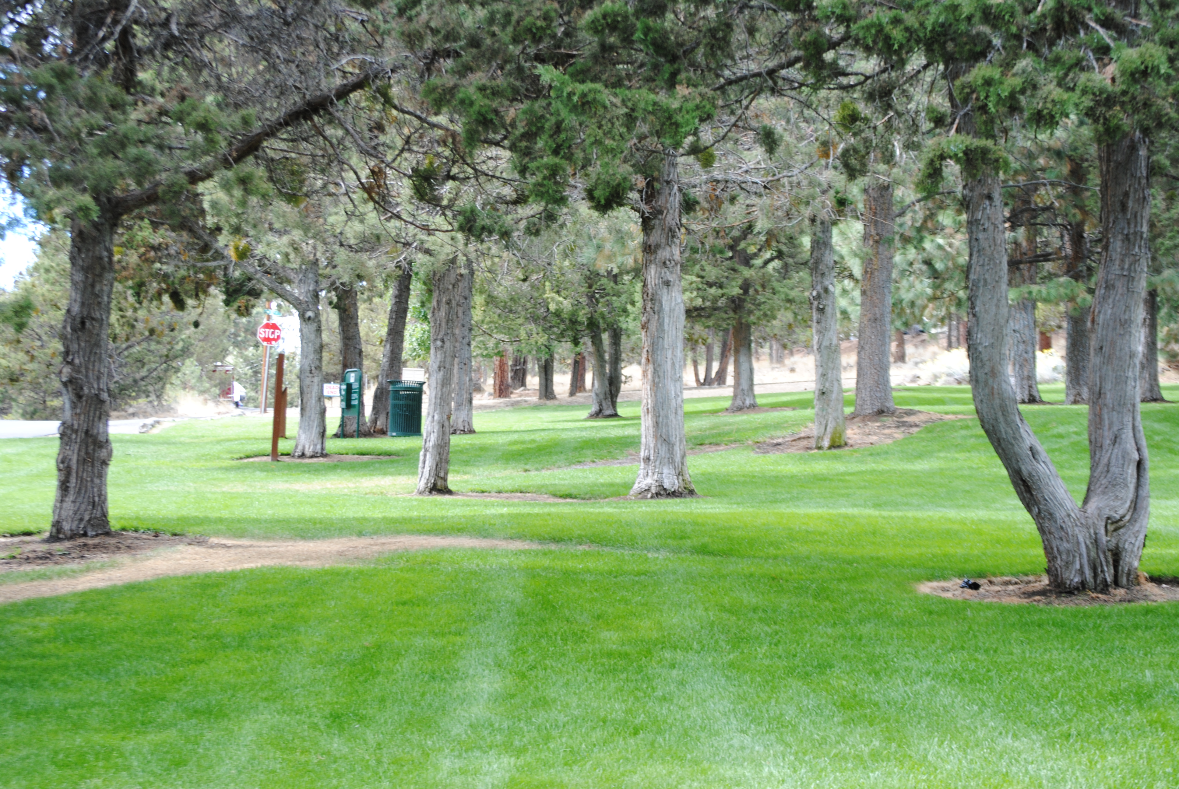 greenspace at hillside park in bend
