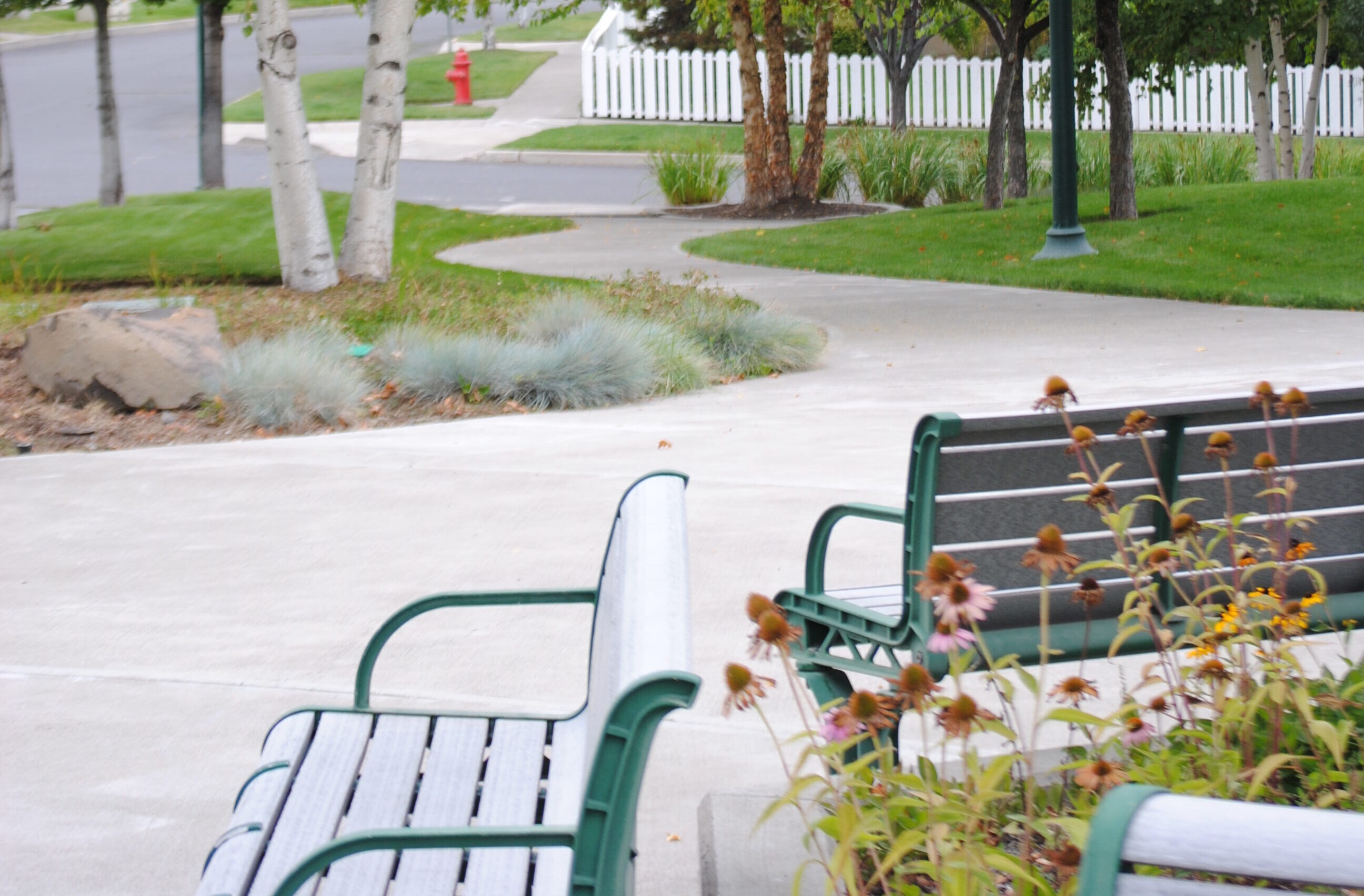 some benches at hixon park