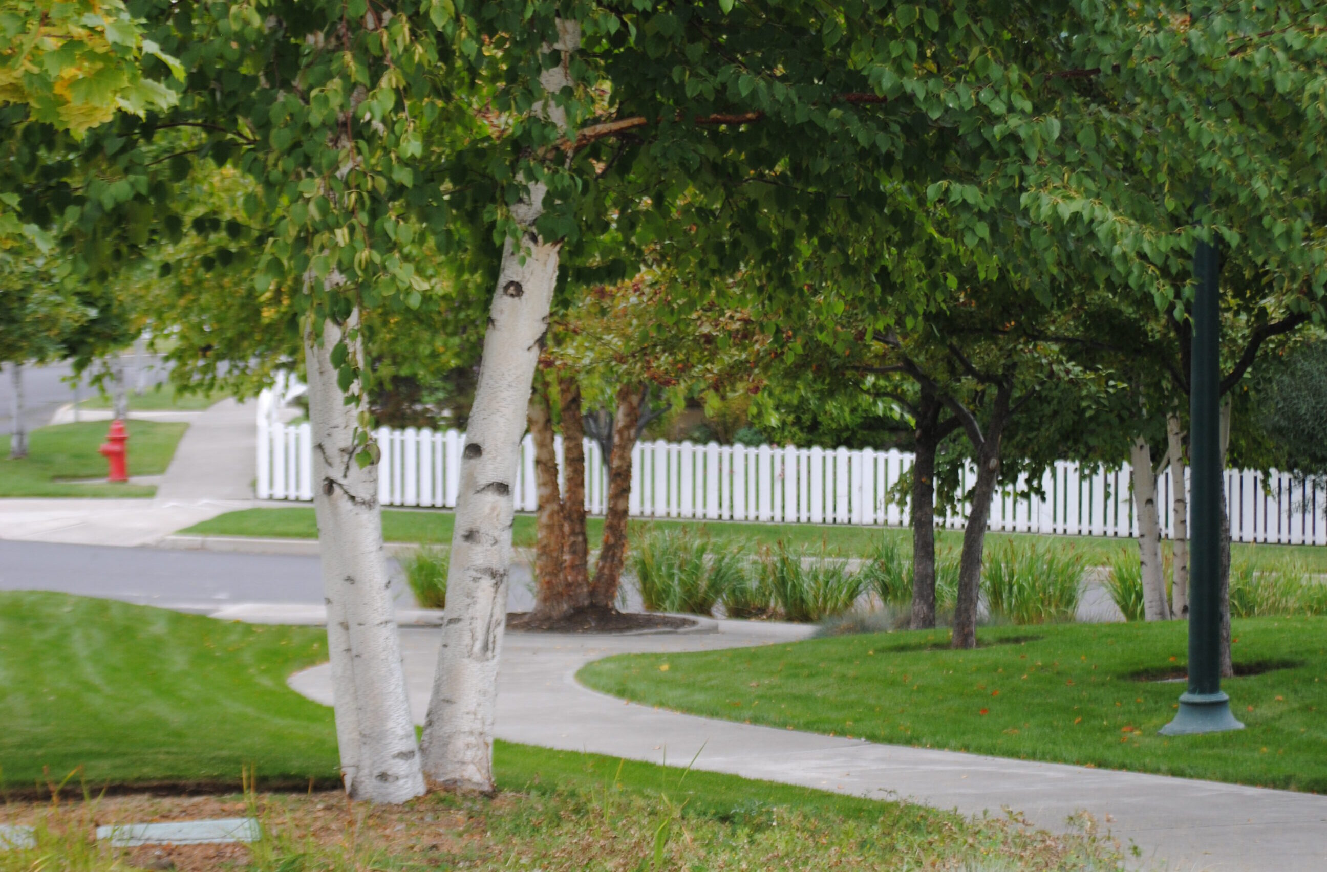 a path at hixon park