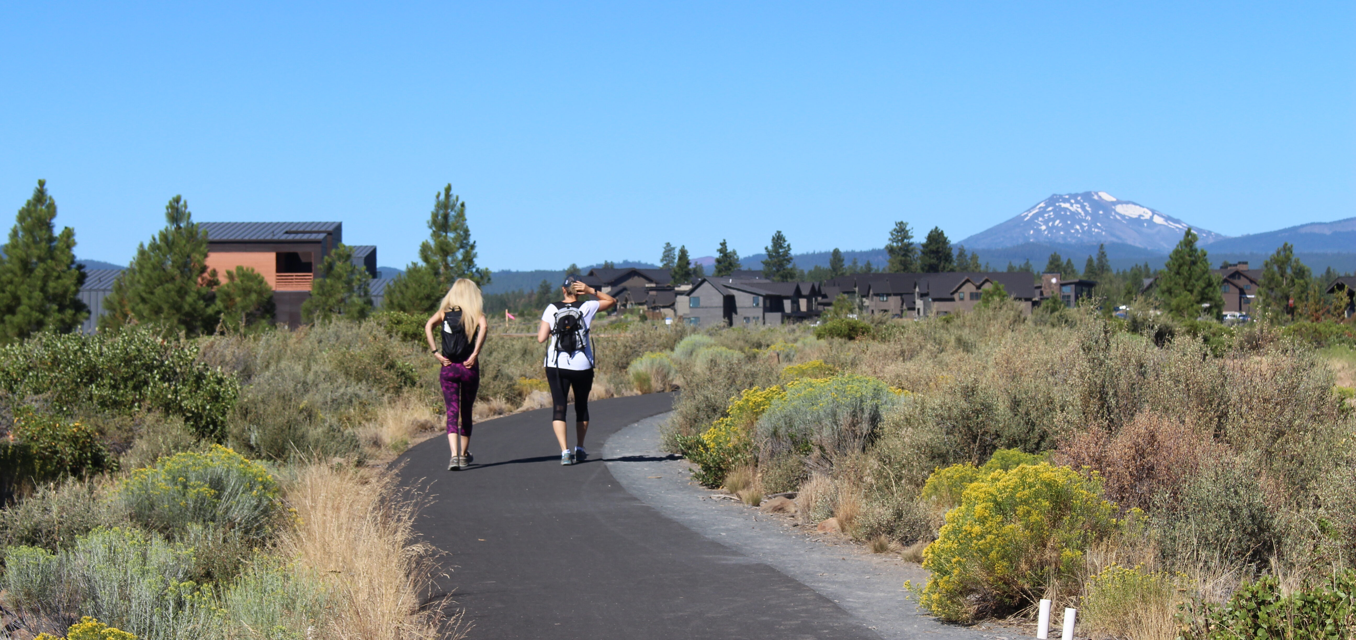 Alpine Park trail with walkers