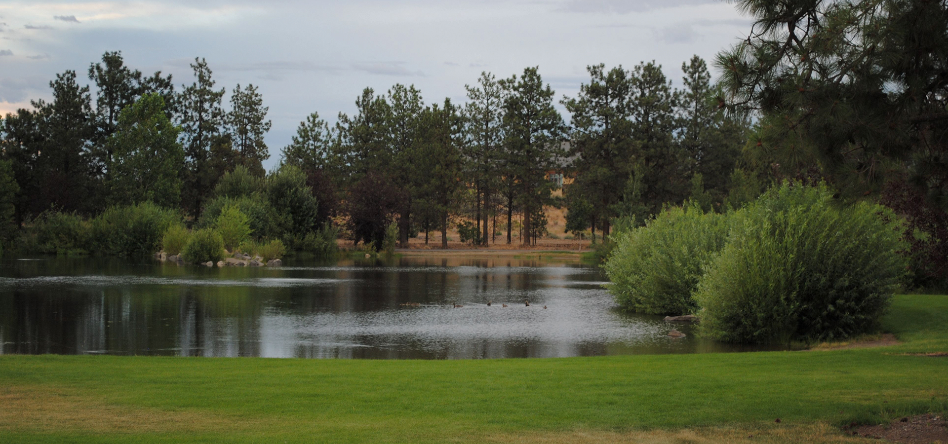 The fishing pond at Pine Nursery.