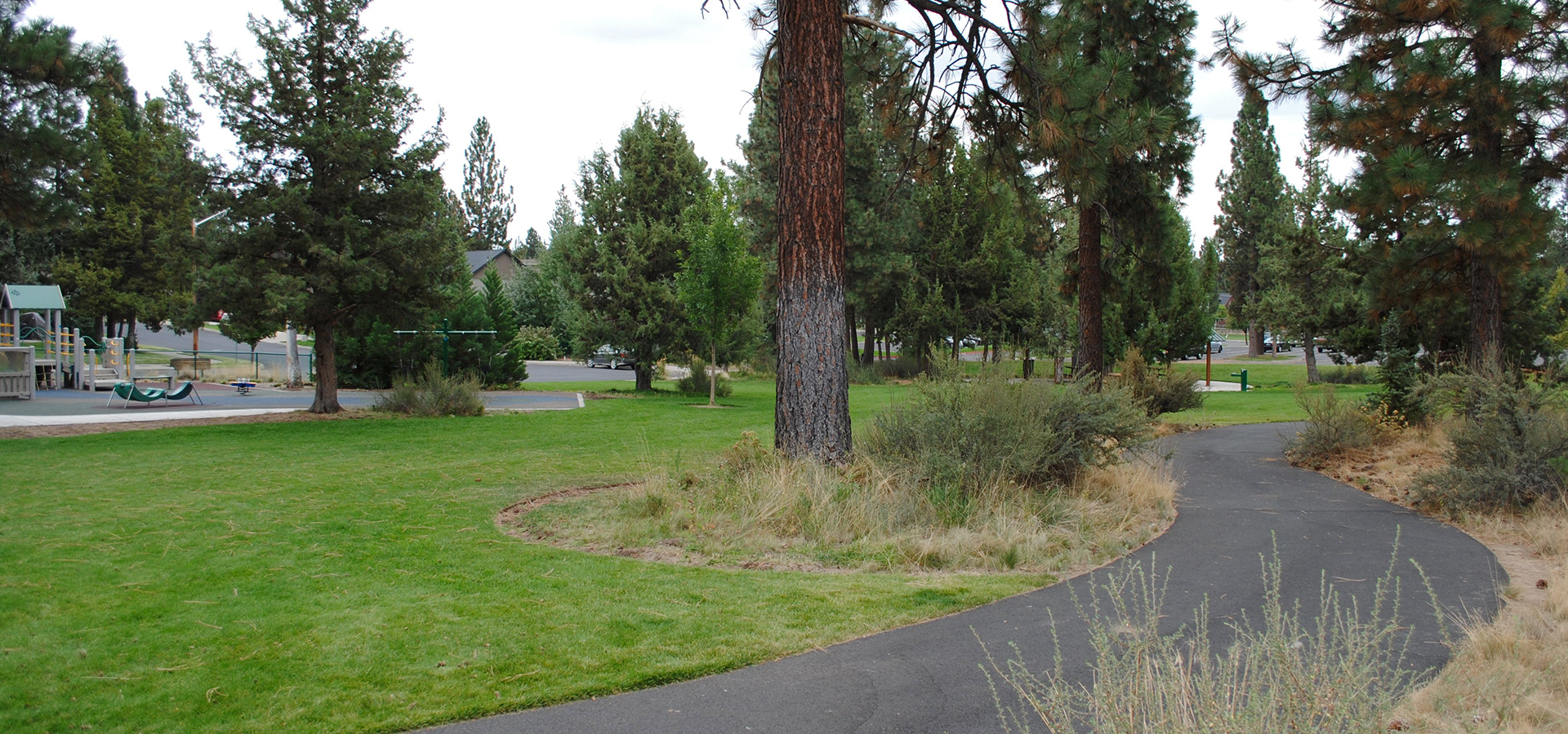 Pine Ridge Park open space.