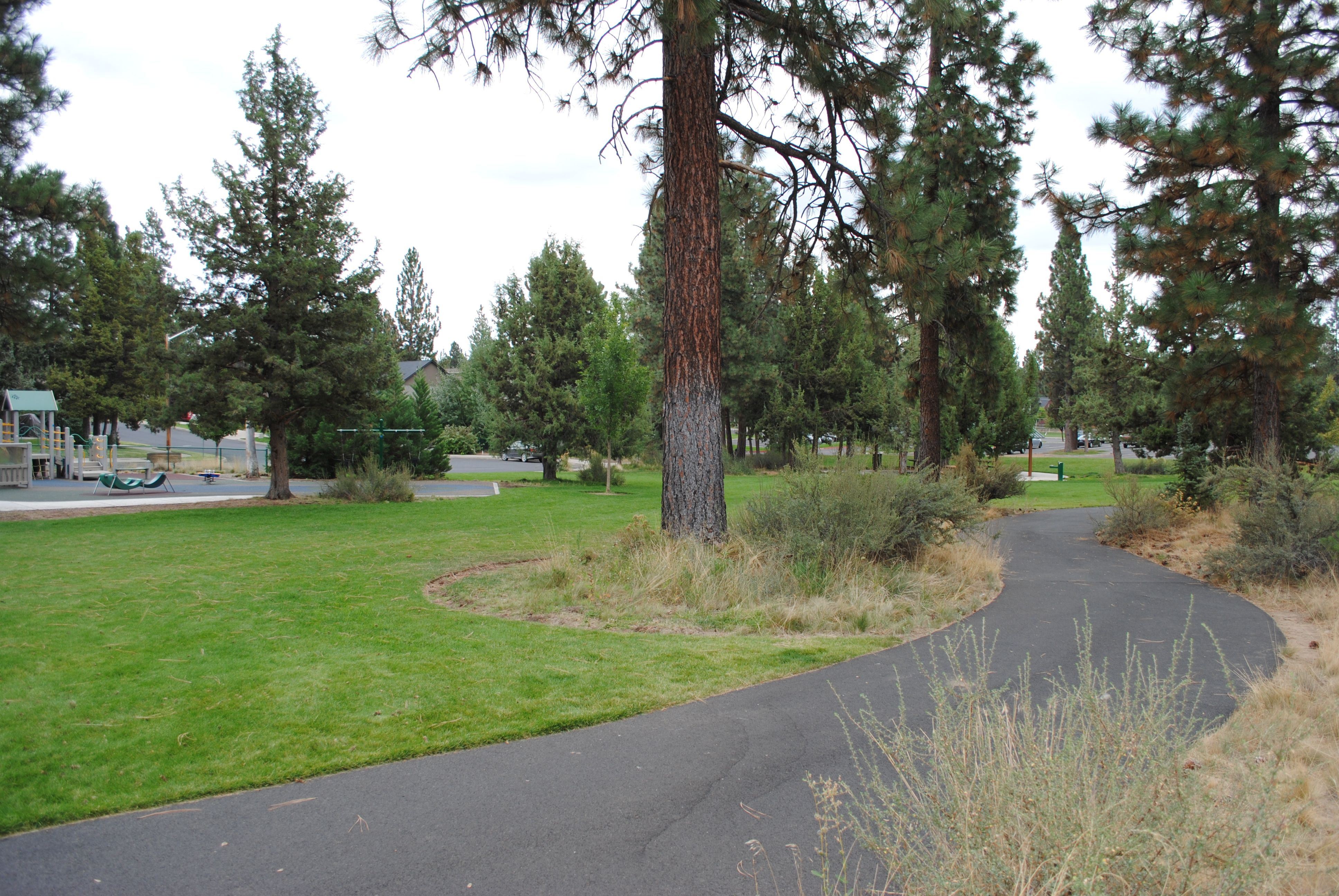 a paved pathway and mature trees at pine ridge
