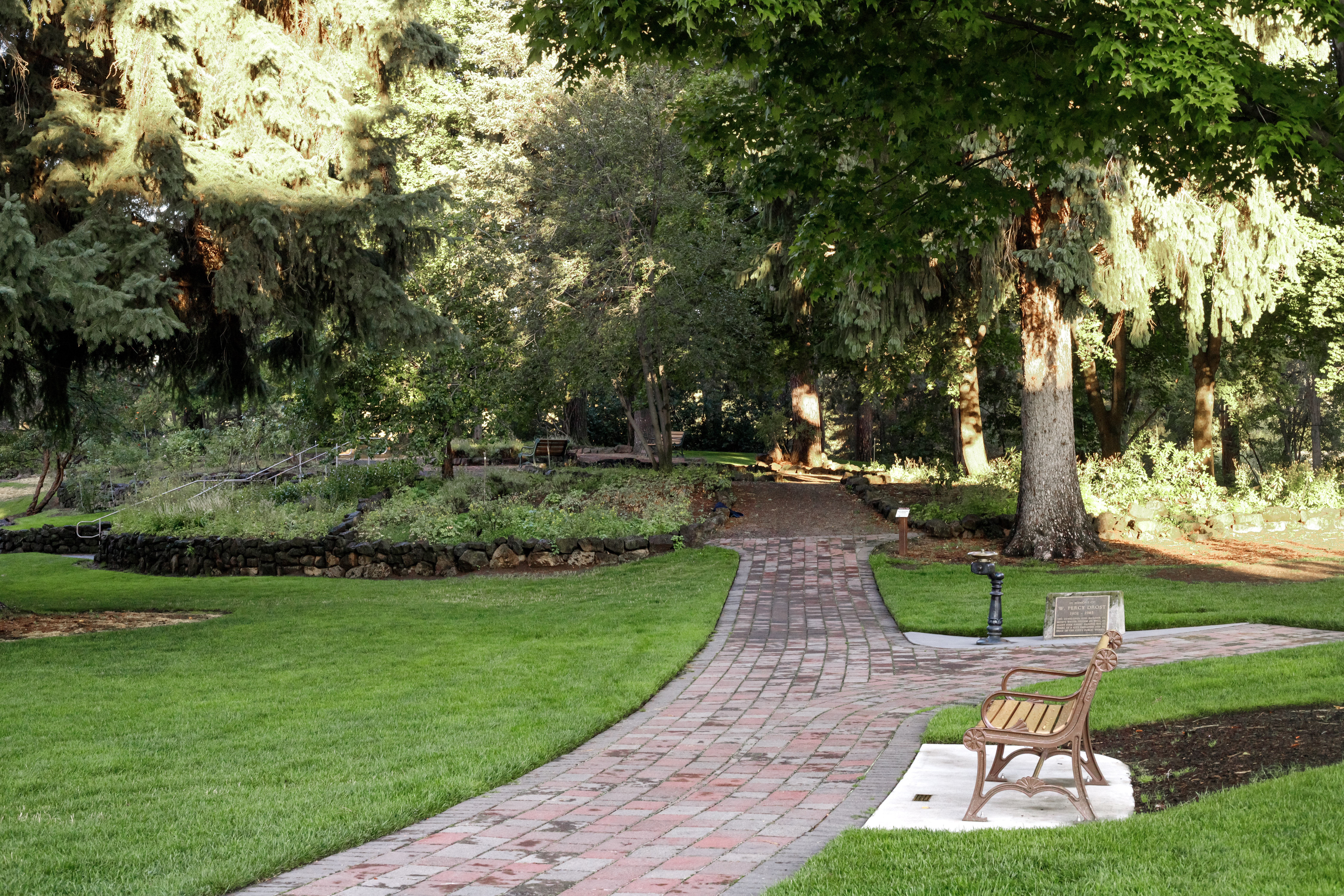 pathway to the rose garden at pioneer park