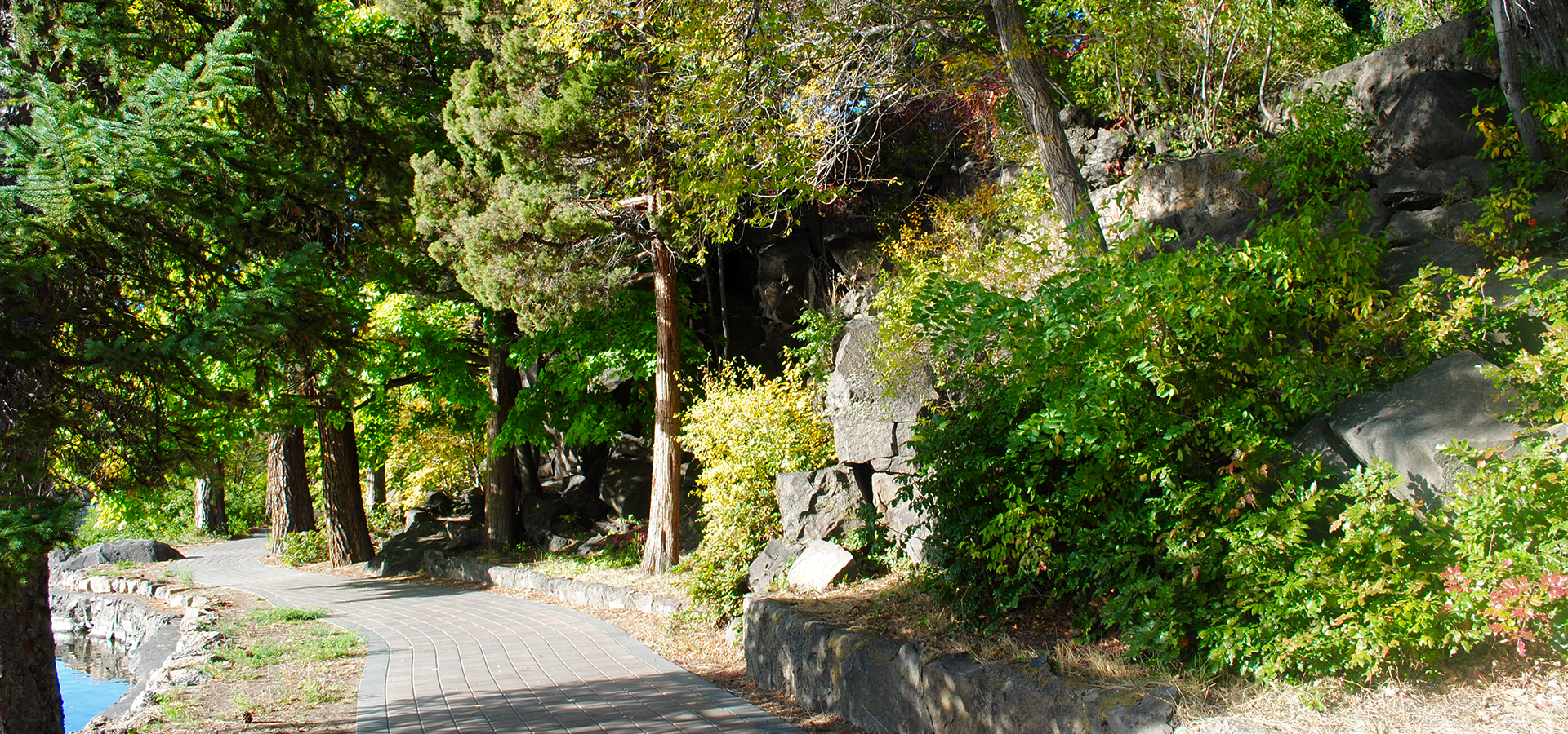 The paved path at Pioneer Park.