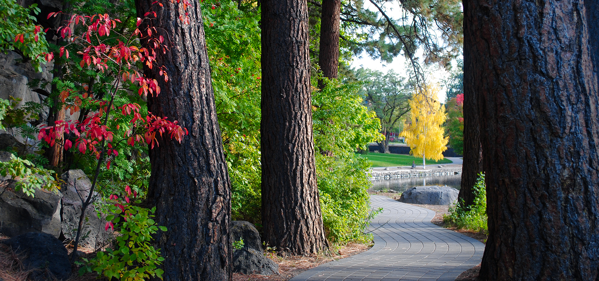 The paved path and colorful trees at Pioneer Park.