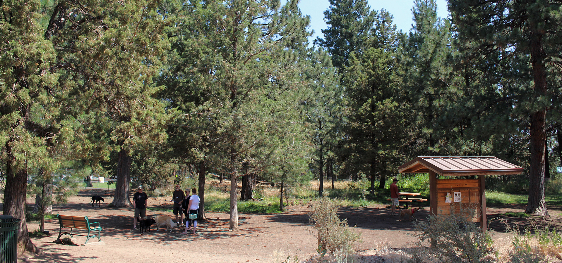 The off-leash dog area at Ponderosa Park.