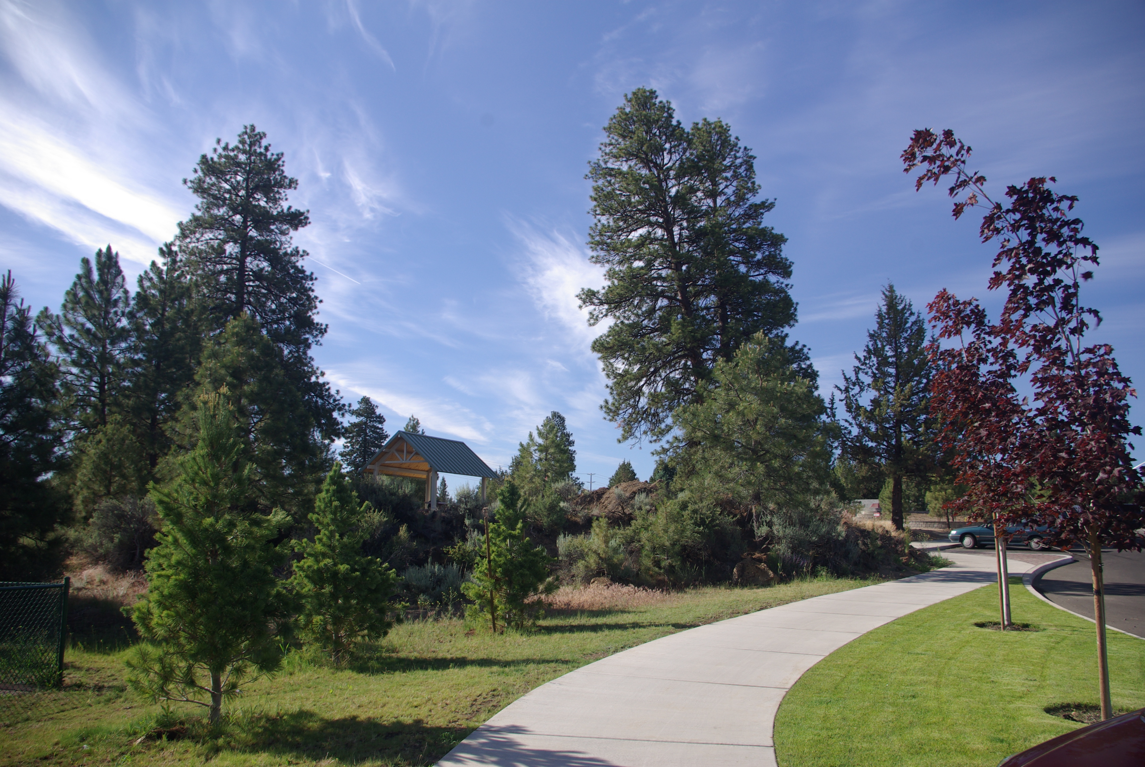 a paved walkway at ponderosa park