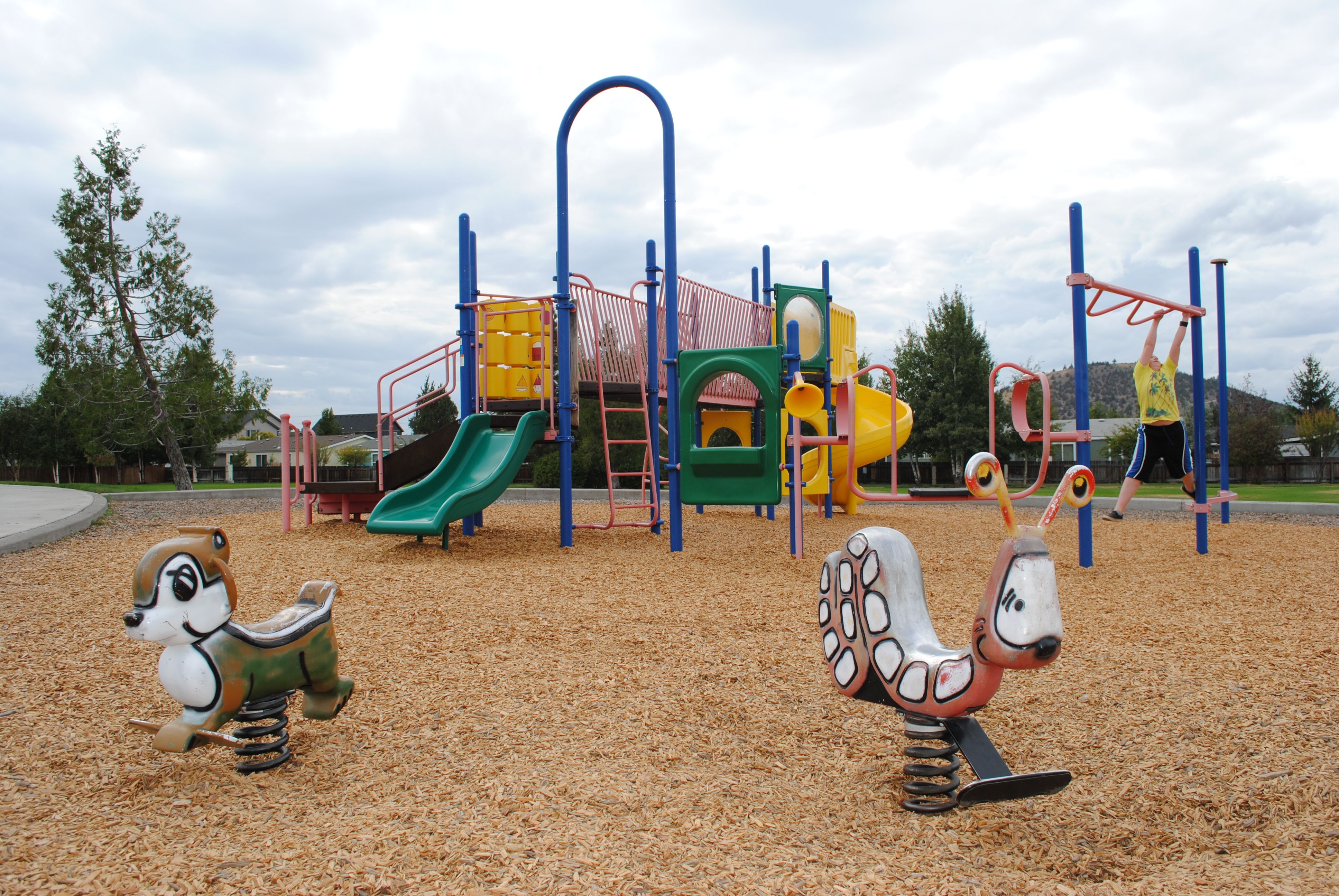 a slide, monkey bars and other toys at a playground