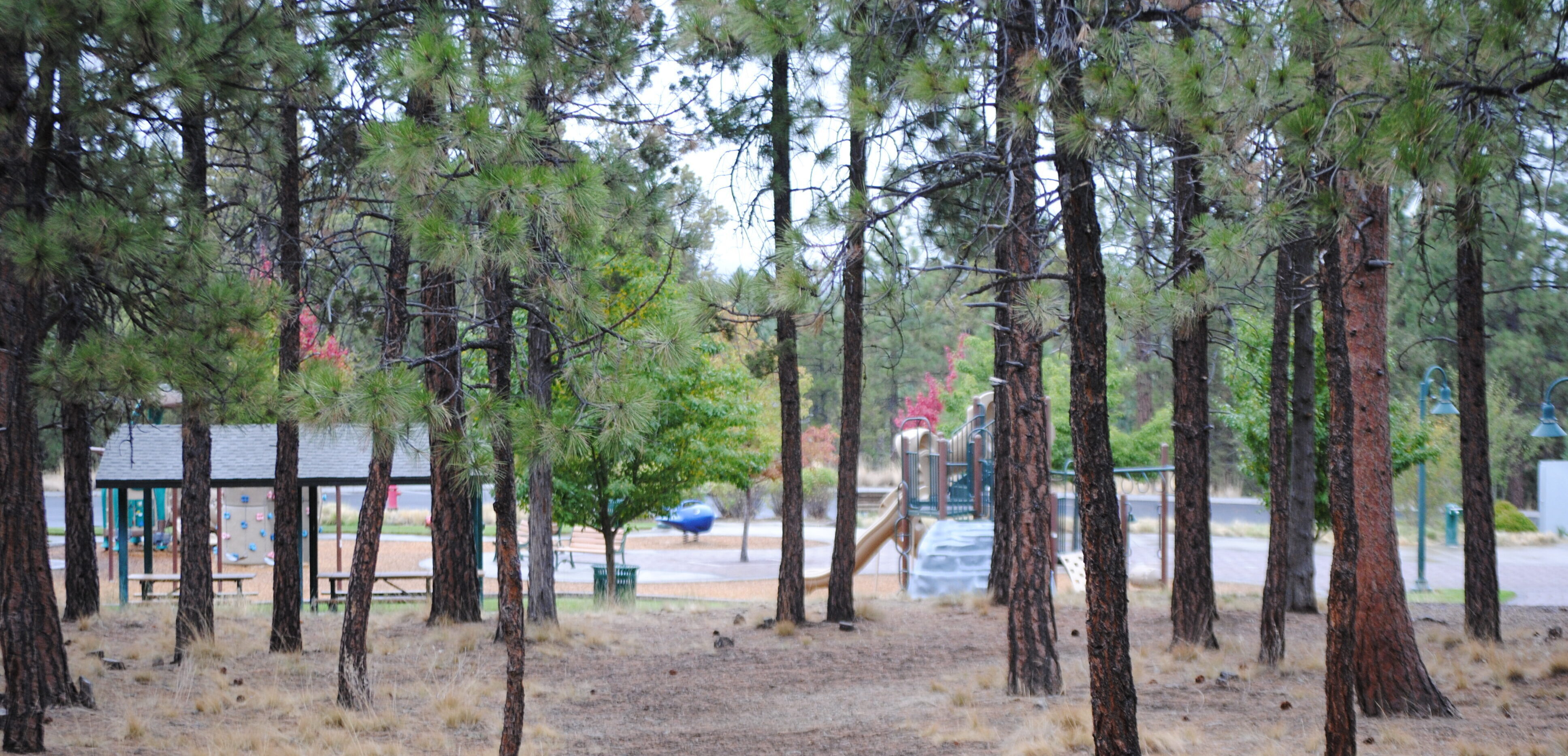 Quail Park nature area and park view