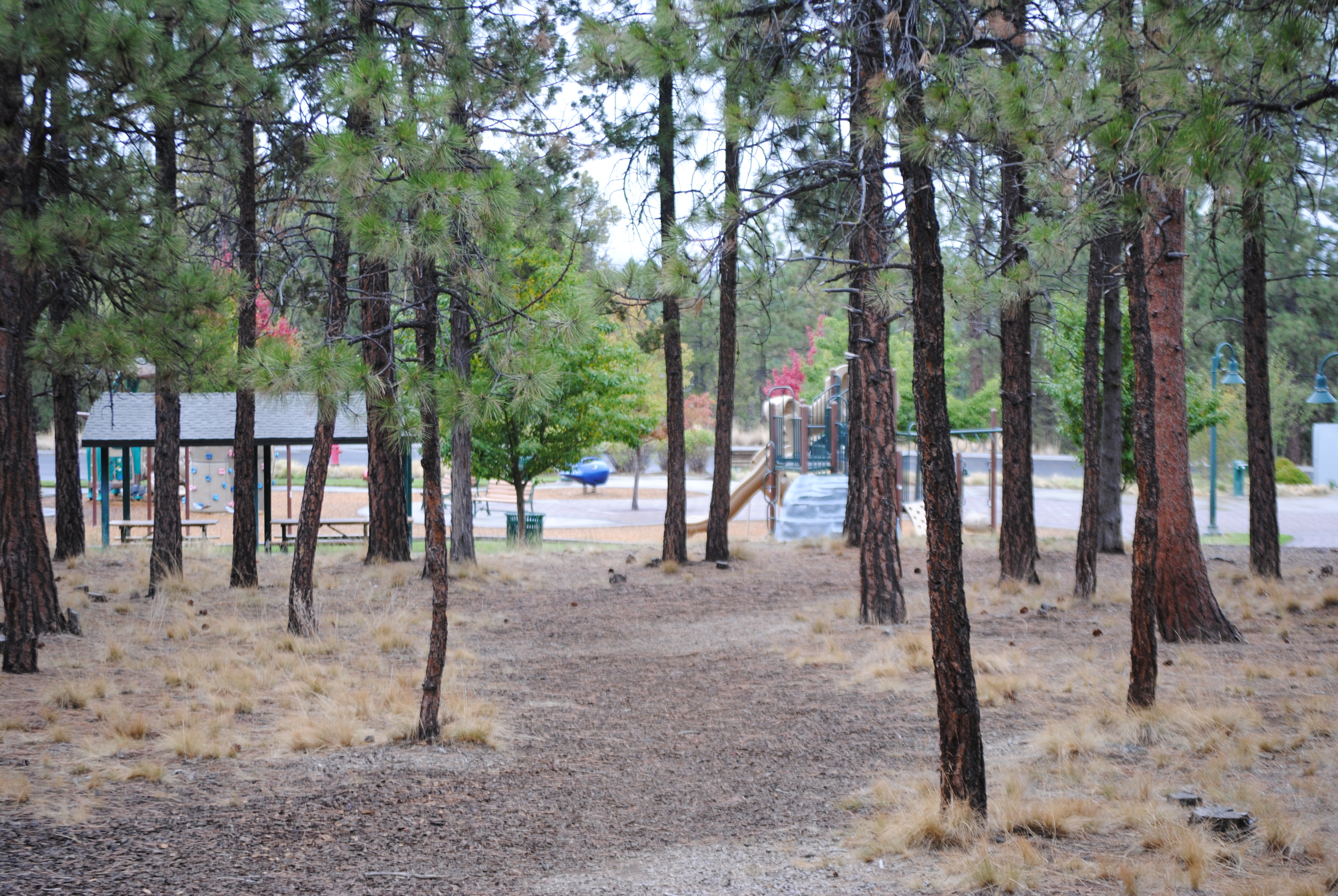 natural space at quail park