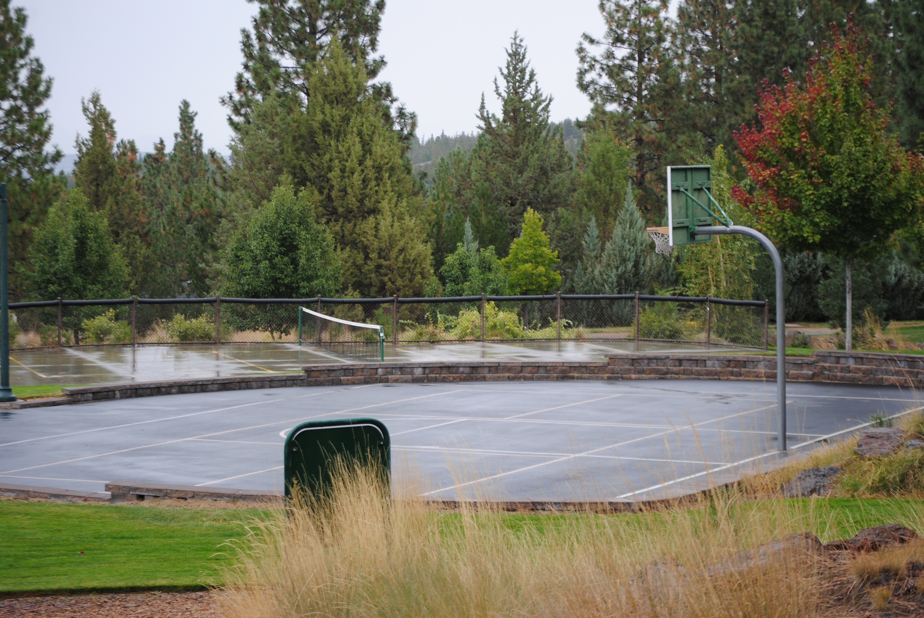 Half court basketball at Quail Park