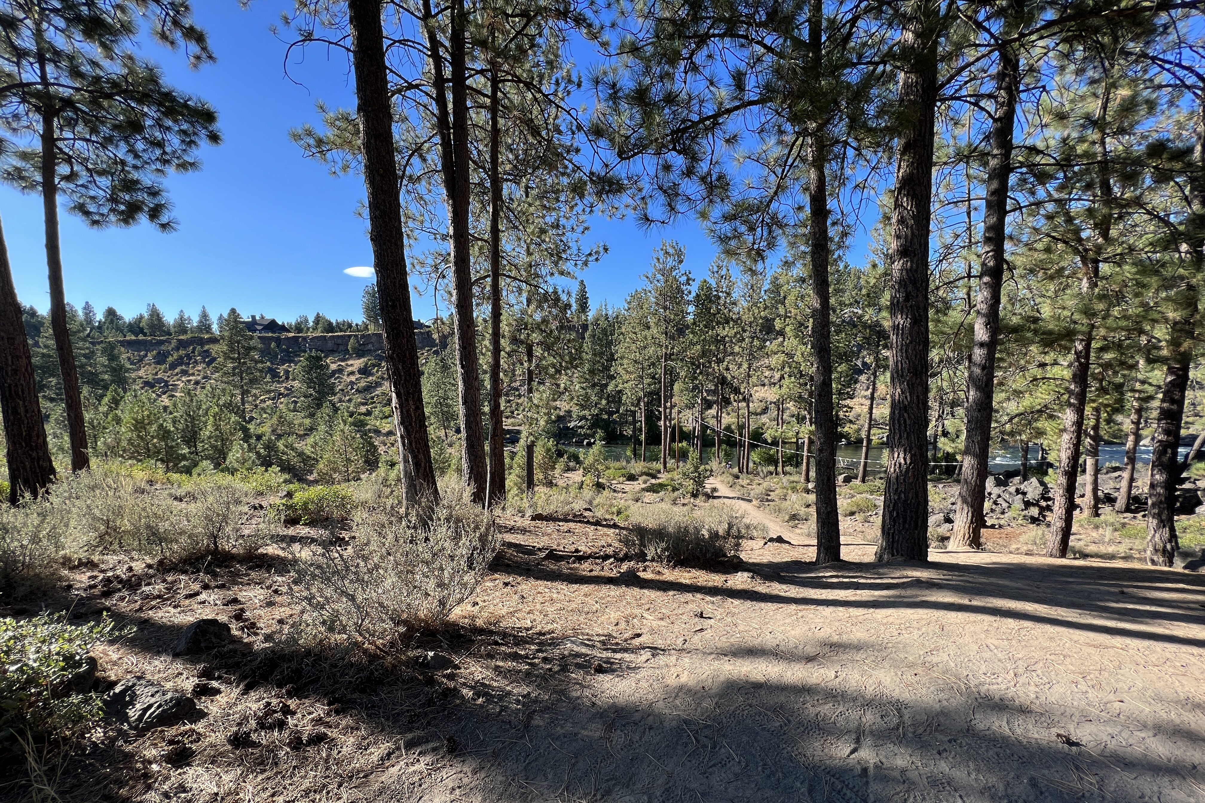 soft surface pathway into the river rim site