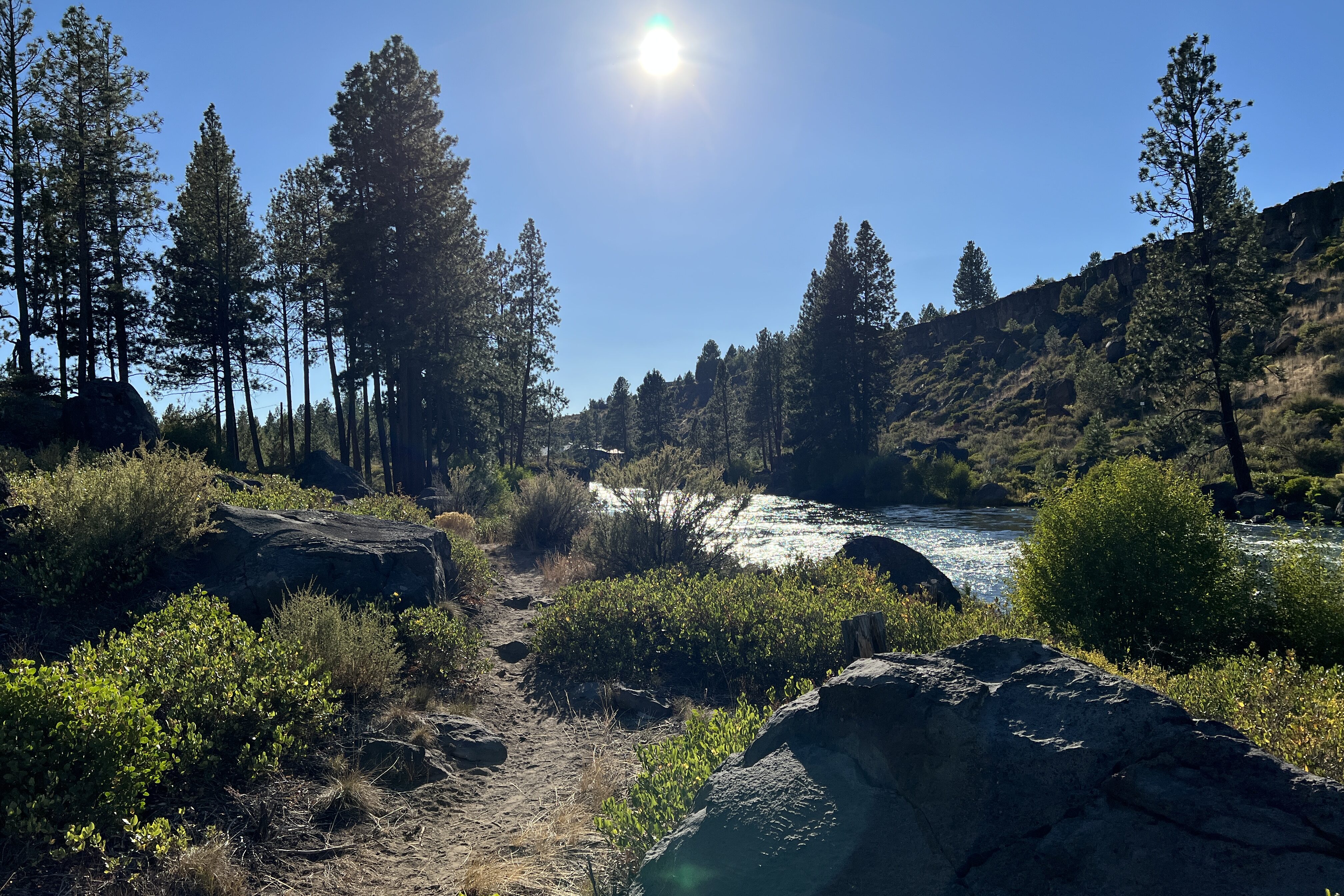 single track trail through the river rim natural area