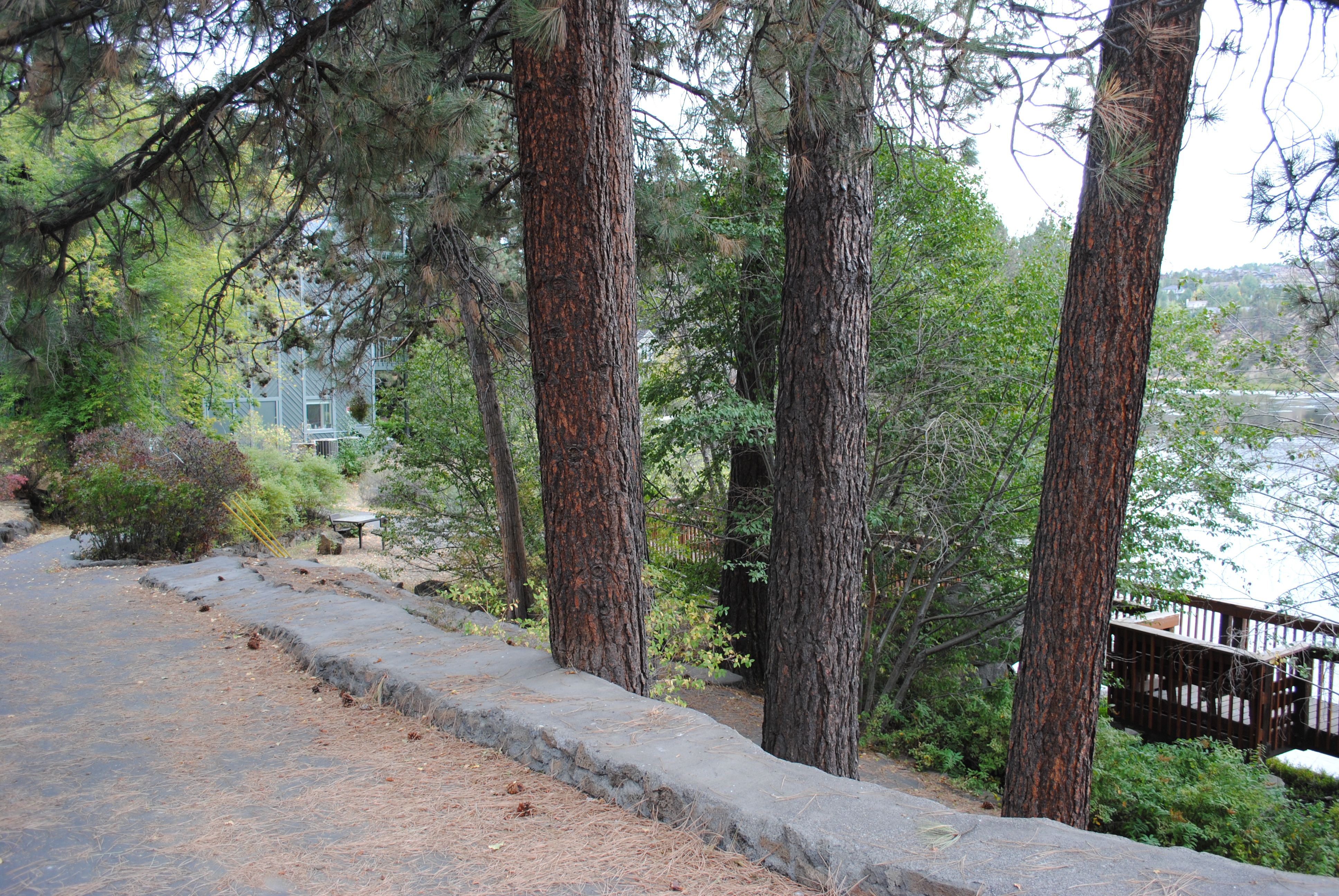 A paved walkway at riverview park