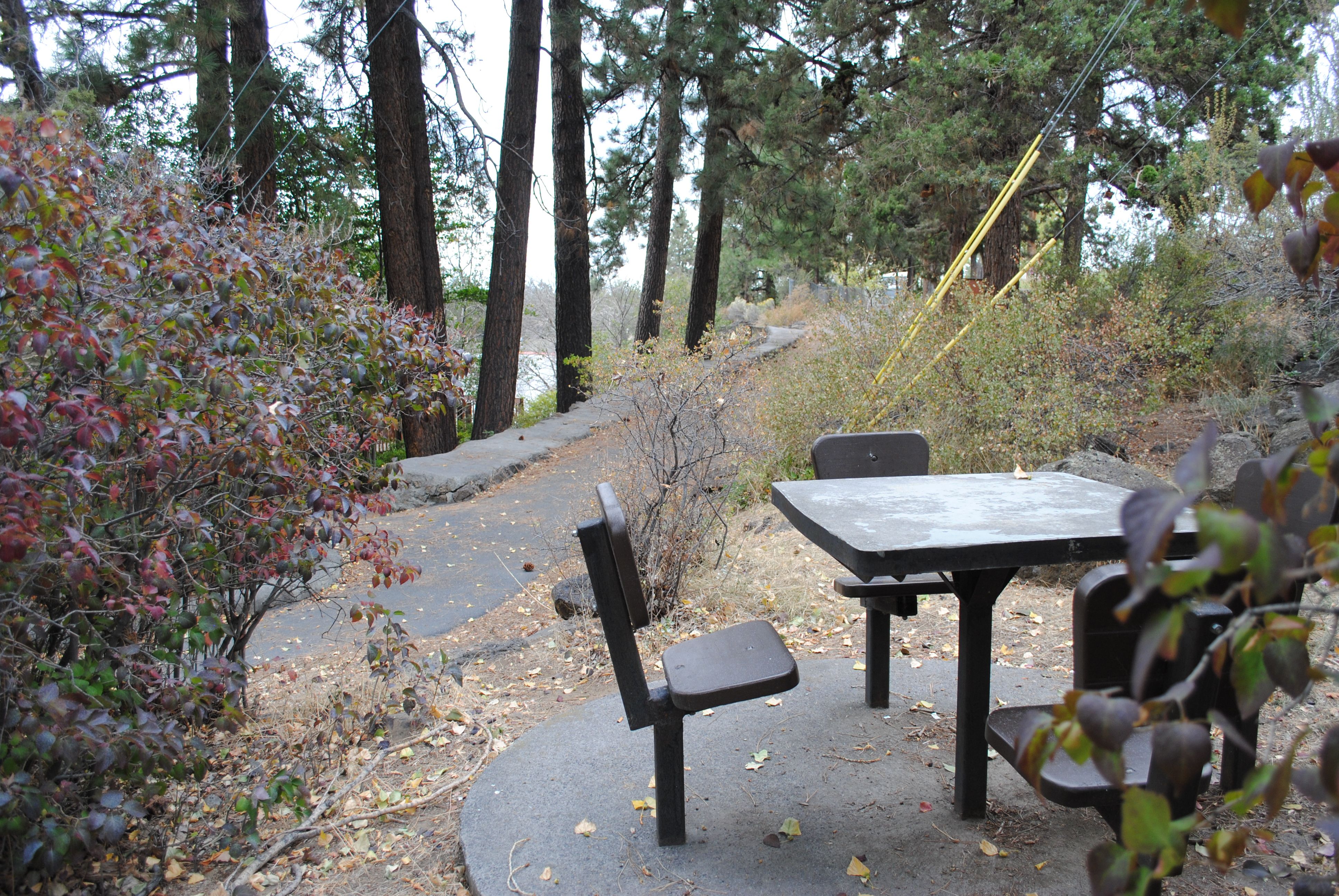 a picnic table along the path at riverview park