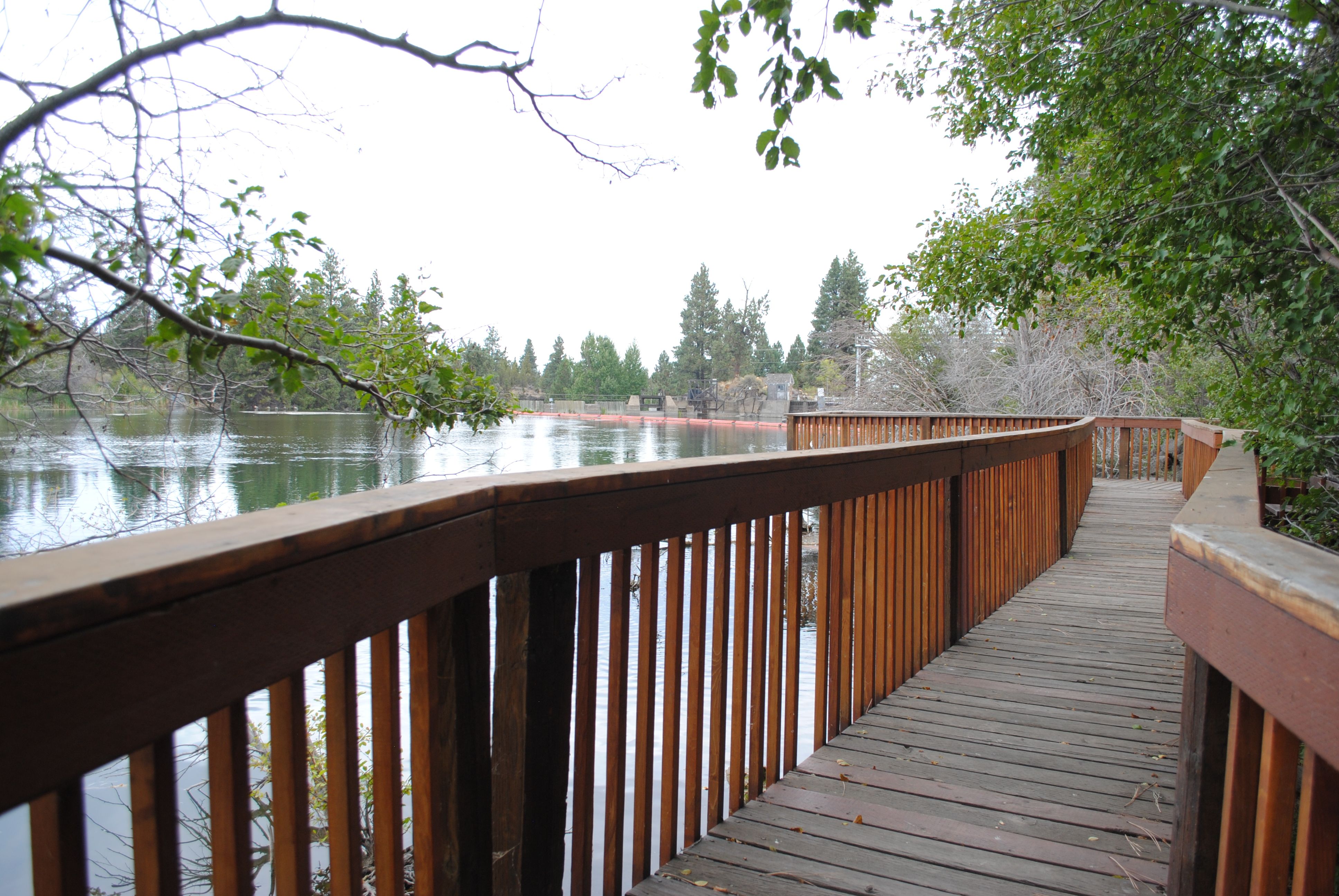 View of the deck and river at Riverview